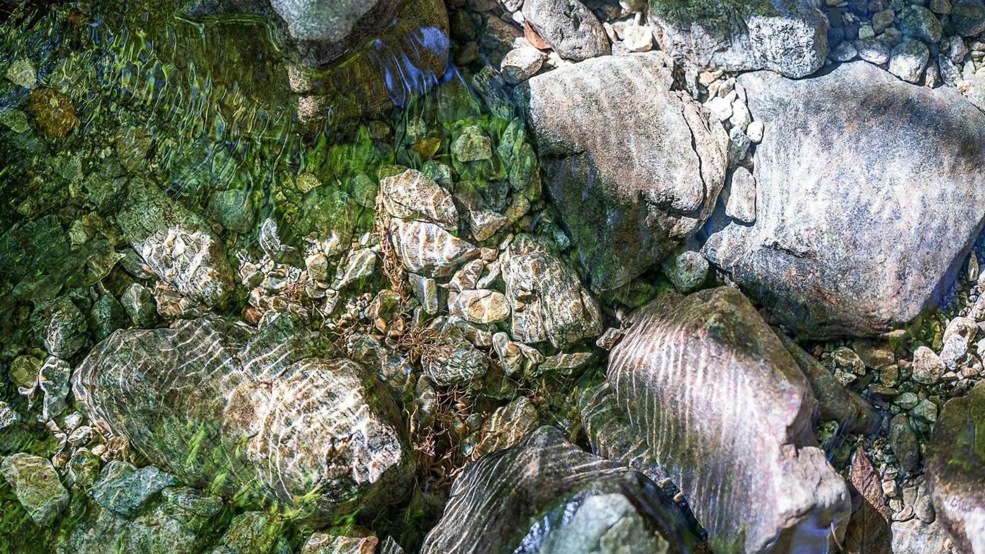 Fortune Rising Sun Hill Pension B