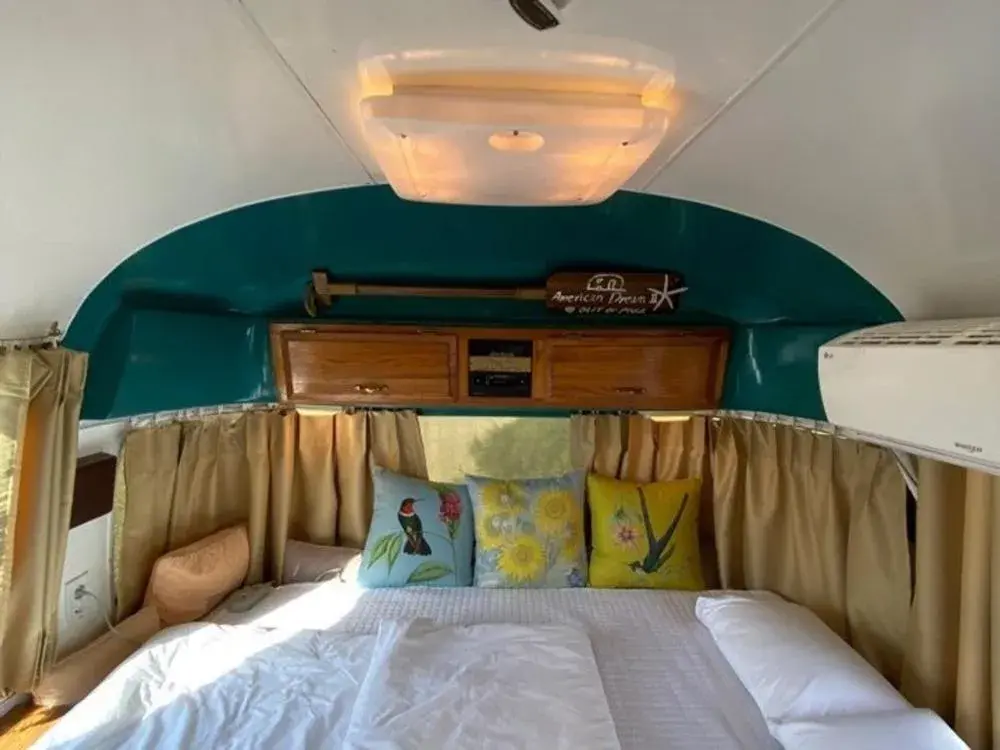 Bed in Out of Park Bed in Out of Park