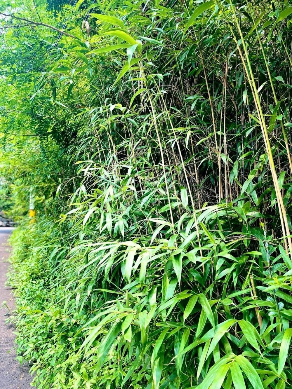 Gunsan Seongsanae Pension