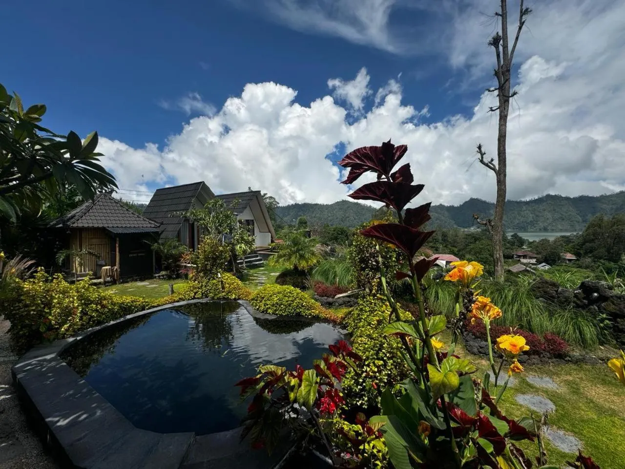 Garden in Belvilla Break Coffee Kintamani