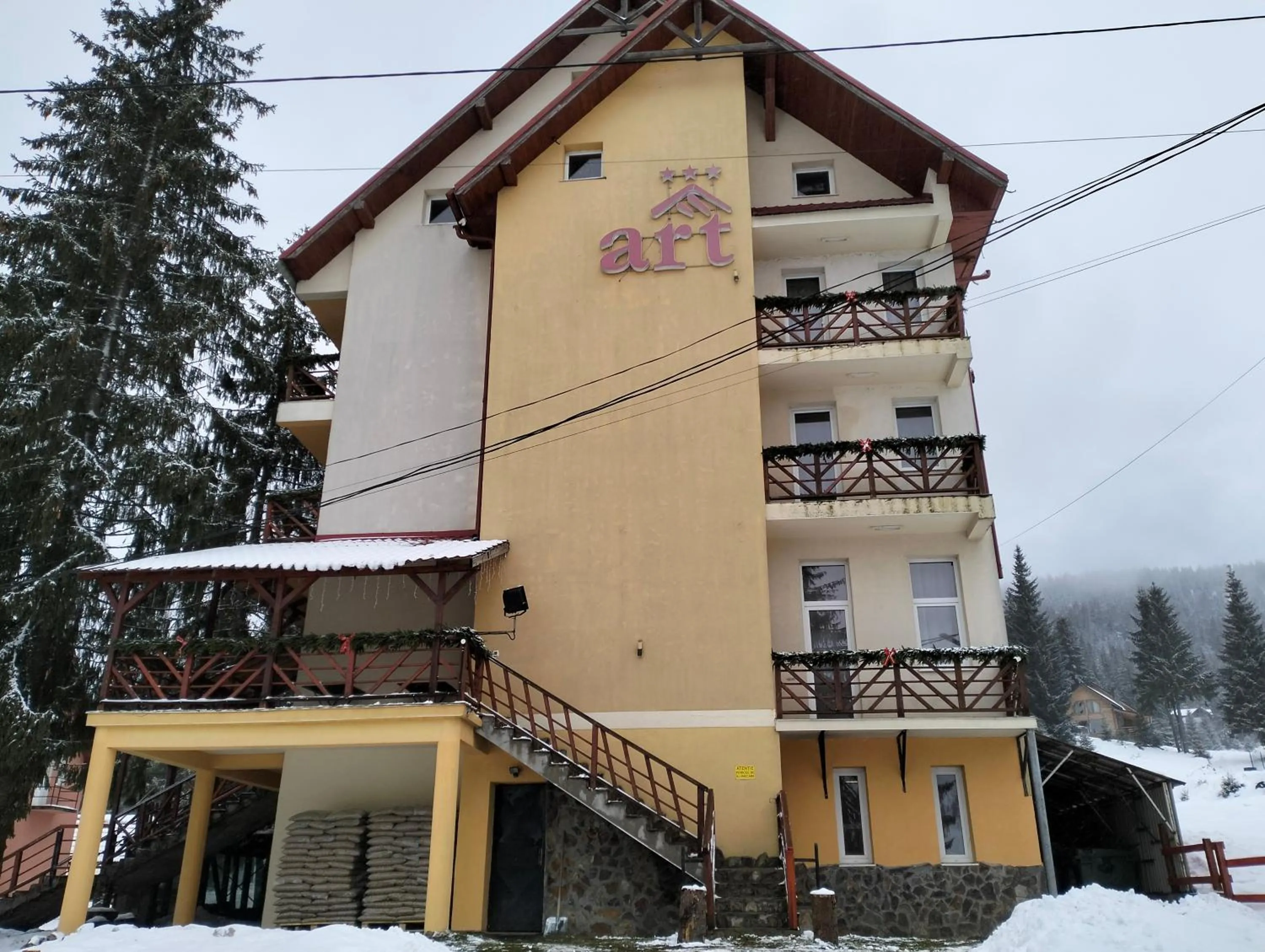 Pensiunea Cabana Art