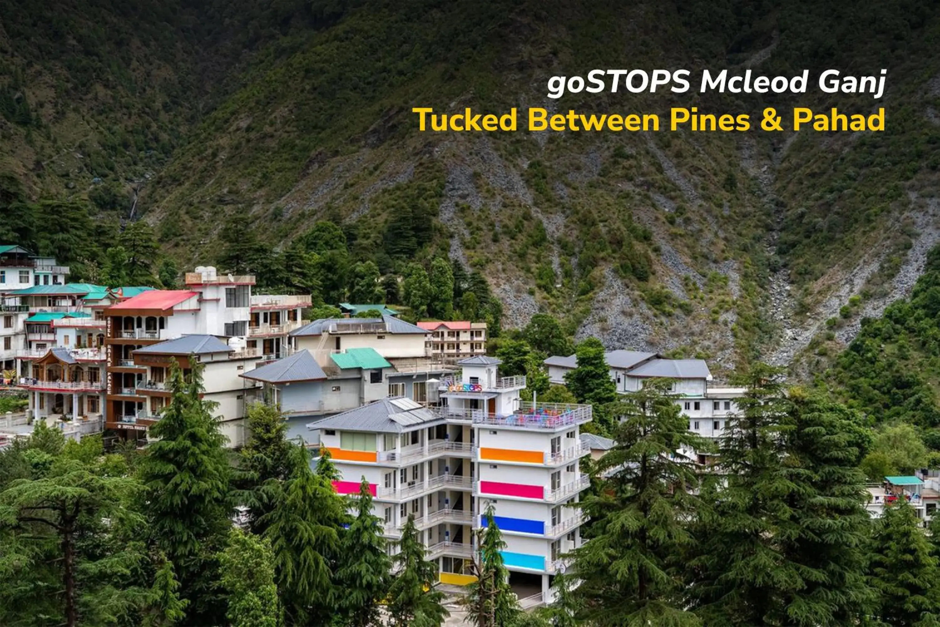 goSTOPS Mcleodganj, Bhagsu goSTOPS Mcleodganj, Bhagsu