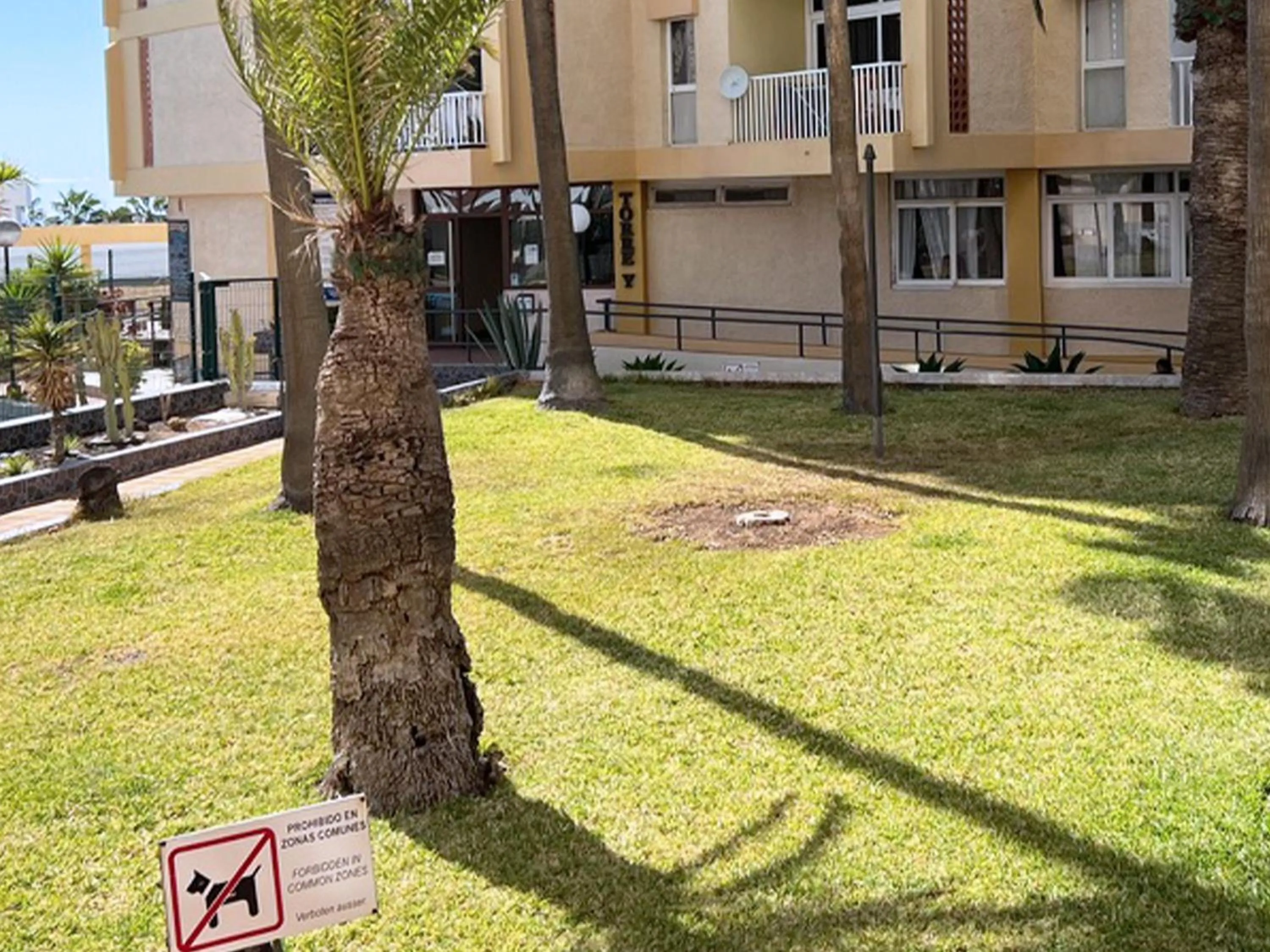Garden in Apartamento Frente Mar, Playa de Las Americas