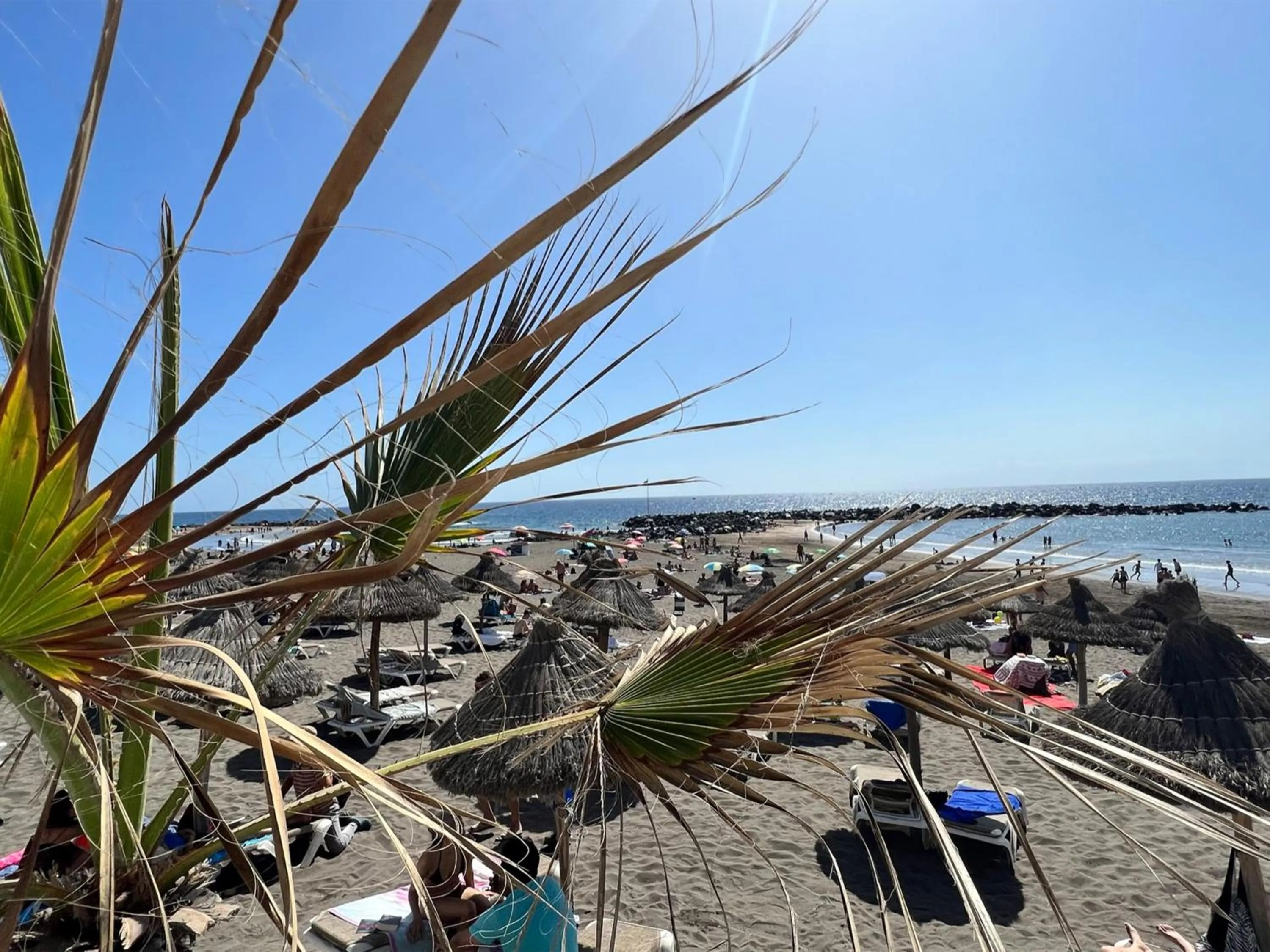 Beach in Apartamento Frente Mar, Playa de Las Americas
