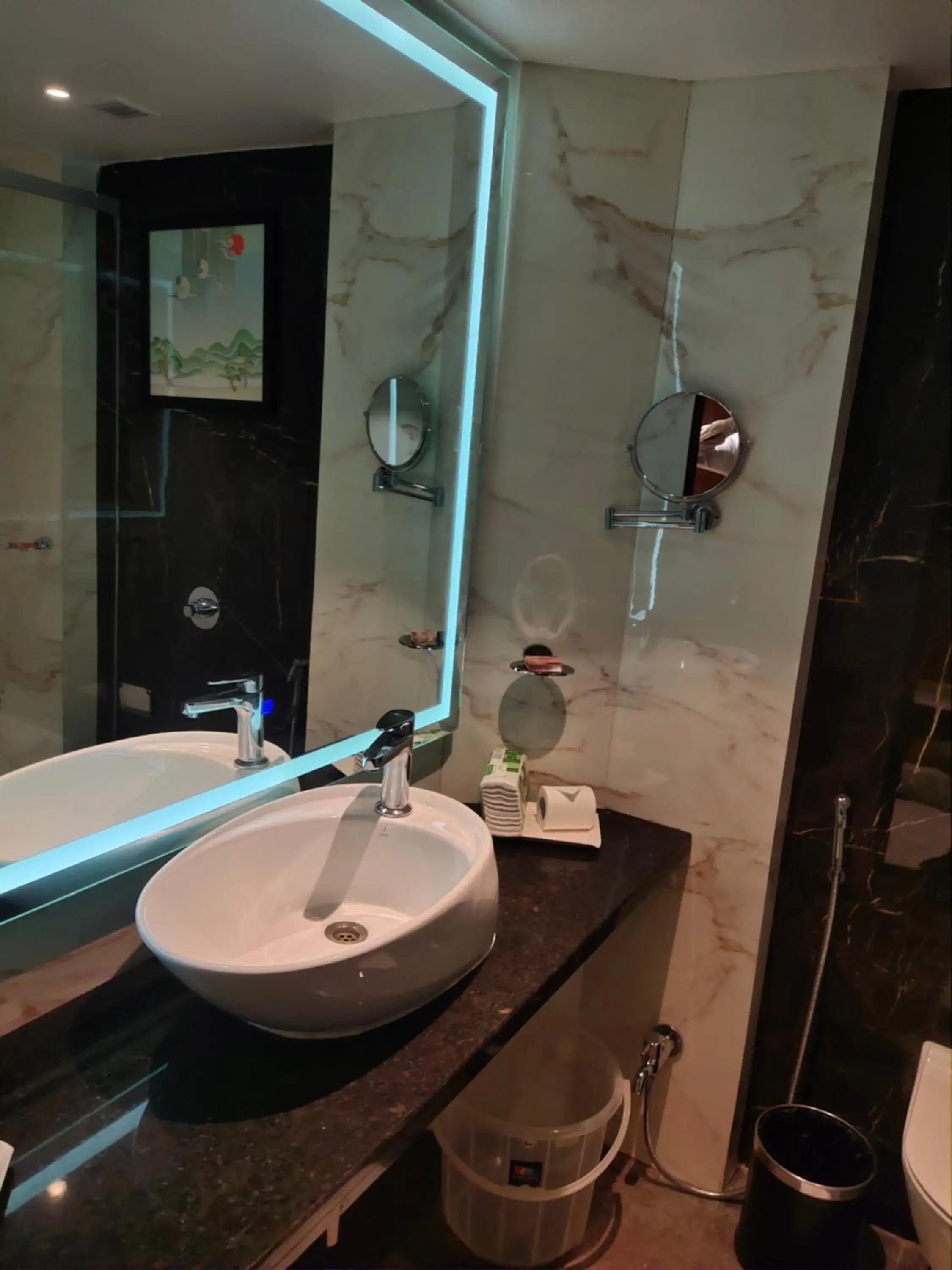 Hotel the Plaza Hotel the Plaza