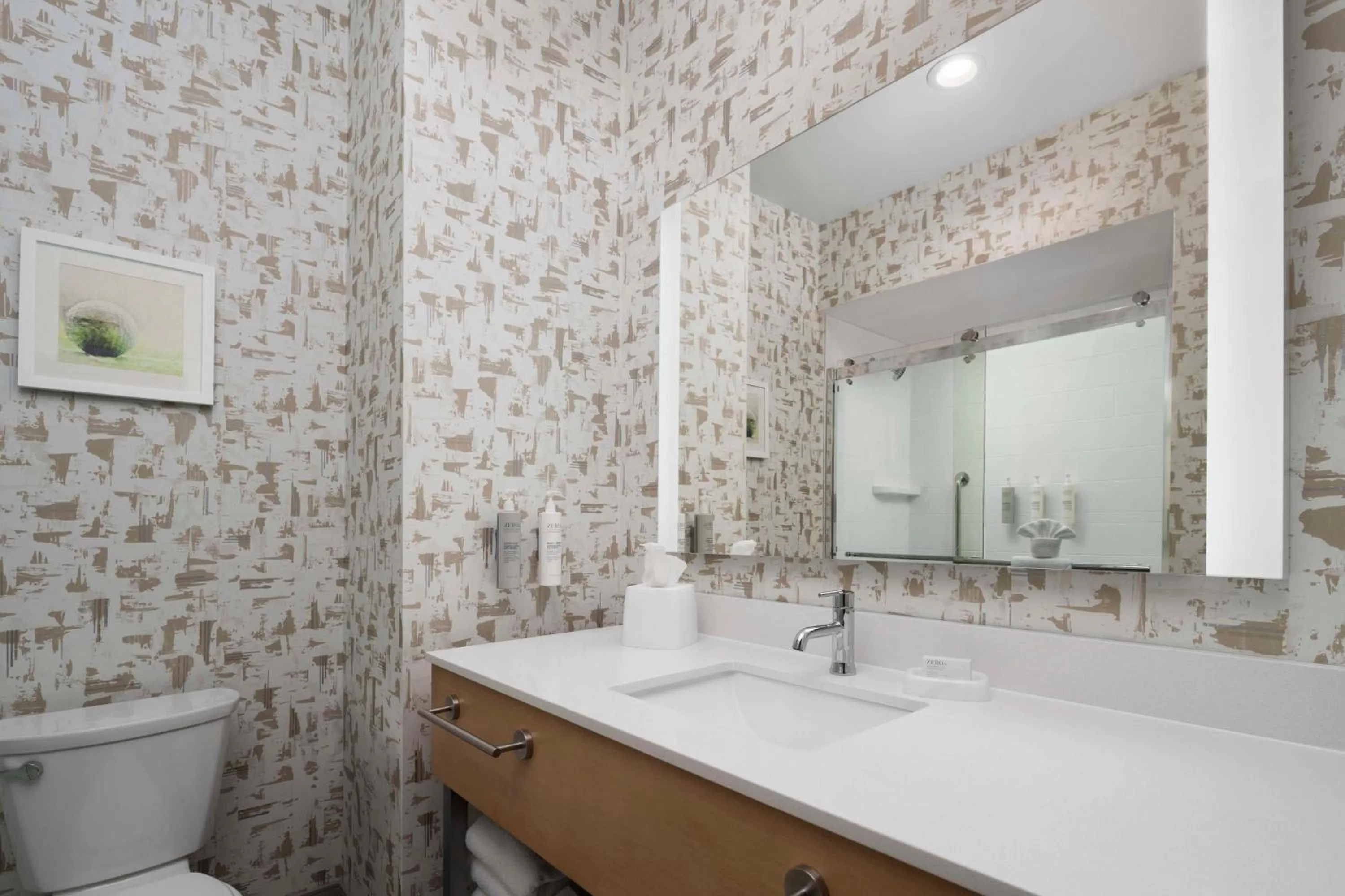 Bathroom in Hampton Inn & Suites Amarillo West