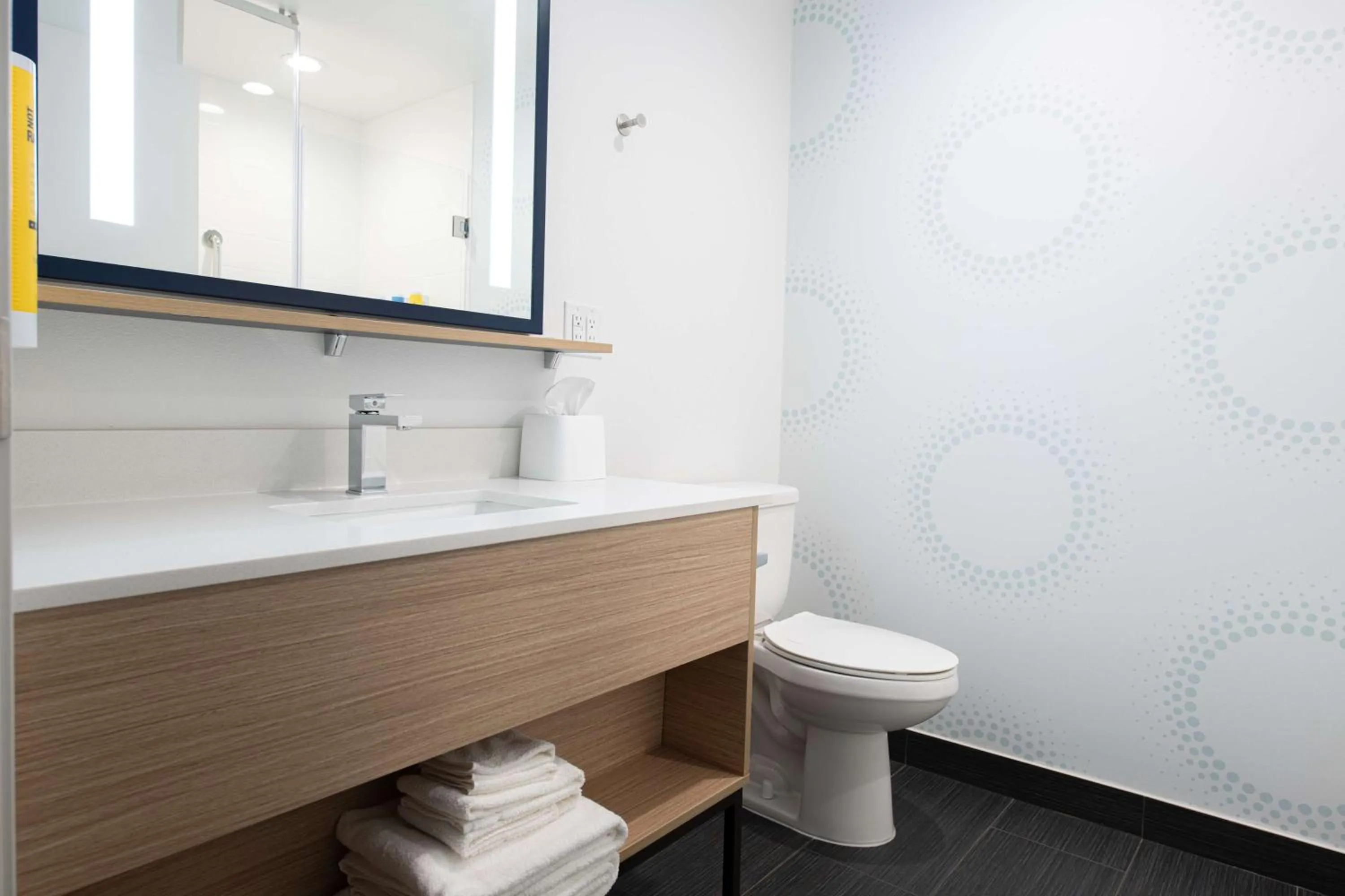 Bathroom in Tru By Hilton Lewisville Vista Ridge Mall