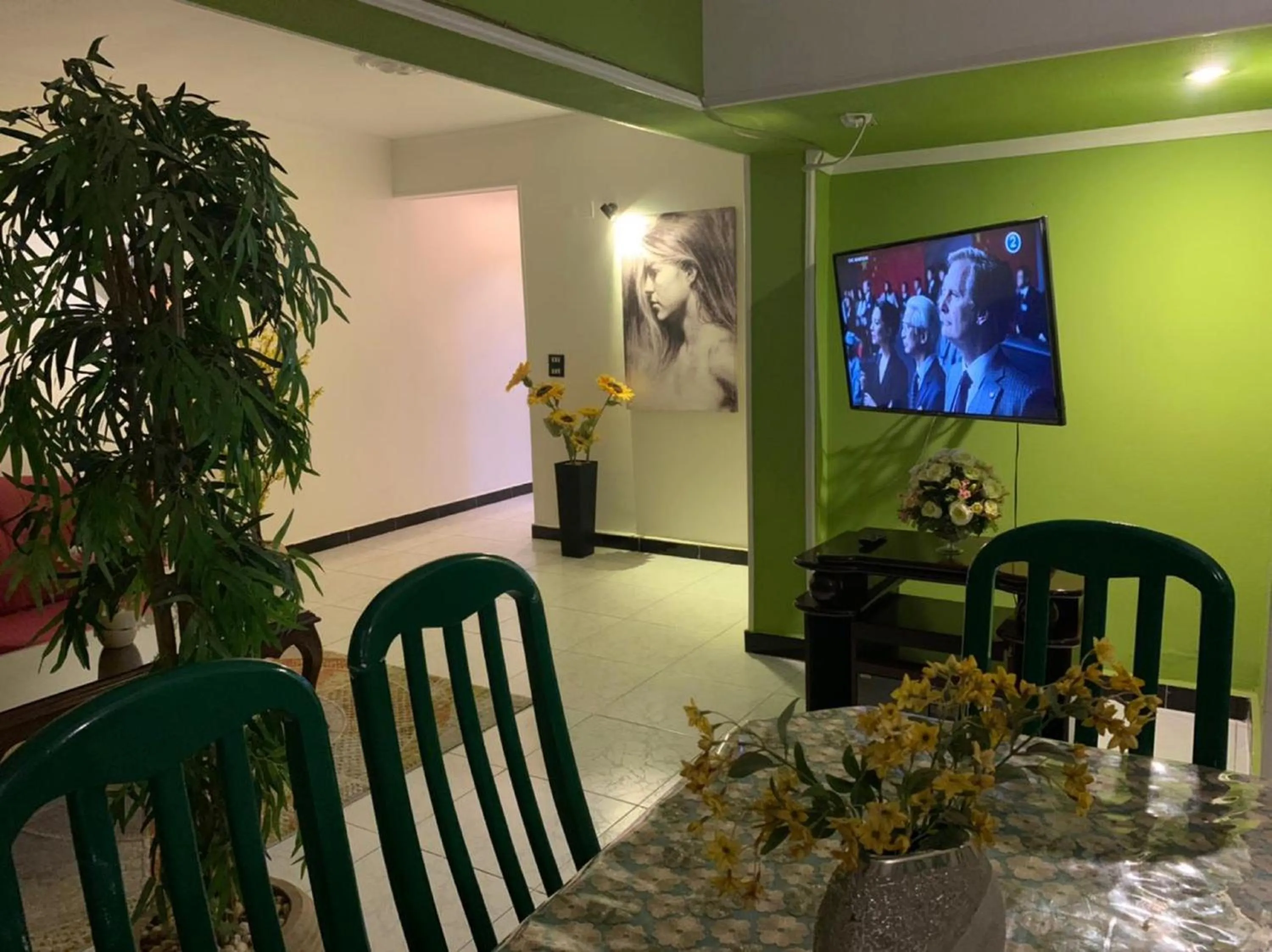 TV and multimedia in Casa Elegant