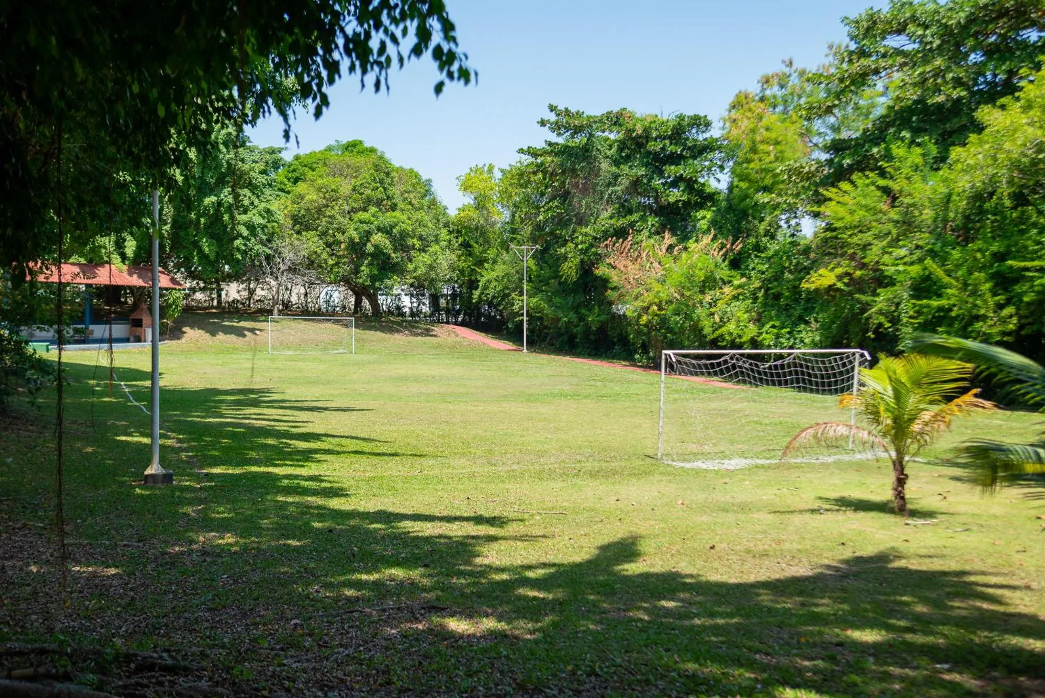 Natural landscape in Novotel Manaus