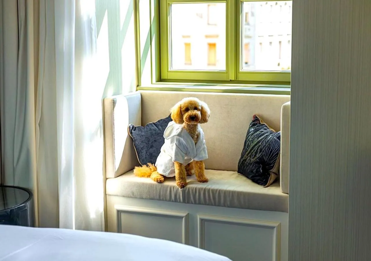 Pets, Bed in Kimpton BEM Budapest by IHG
