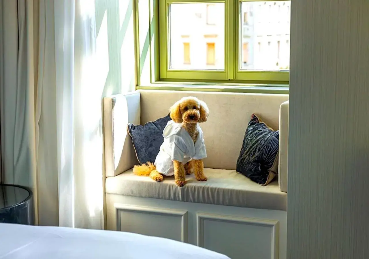 Pets, Bed in Kimpton BEM Budapest by IHG Pets, Bed in Kimpton BEM Budapest by IHG