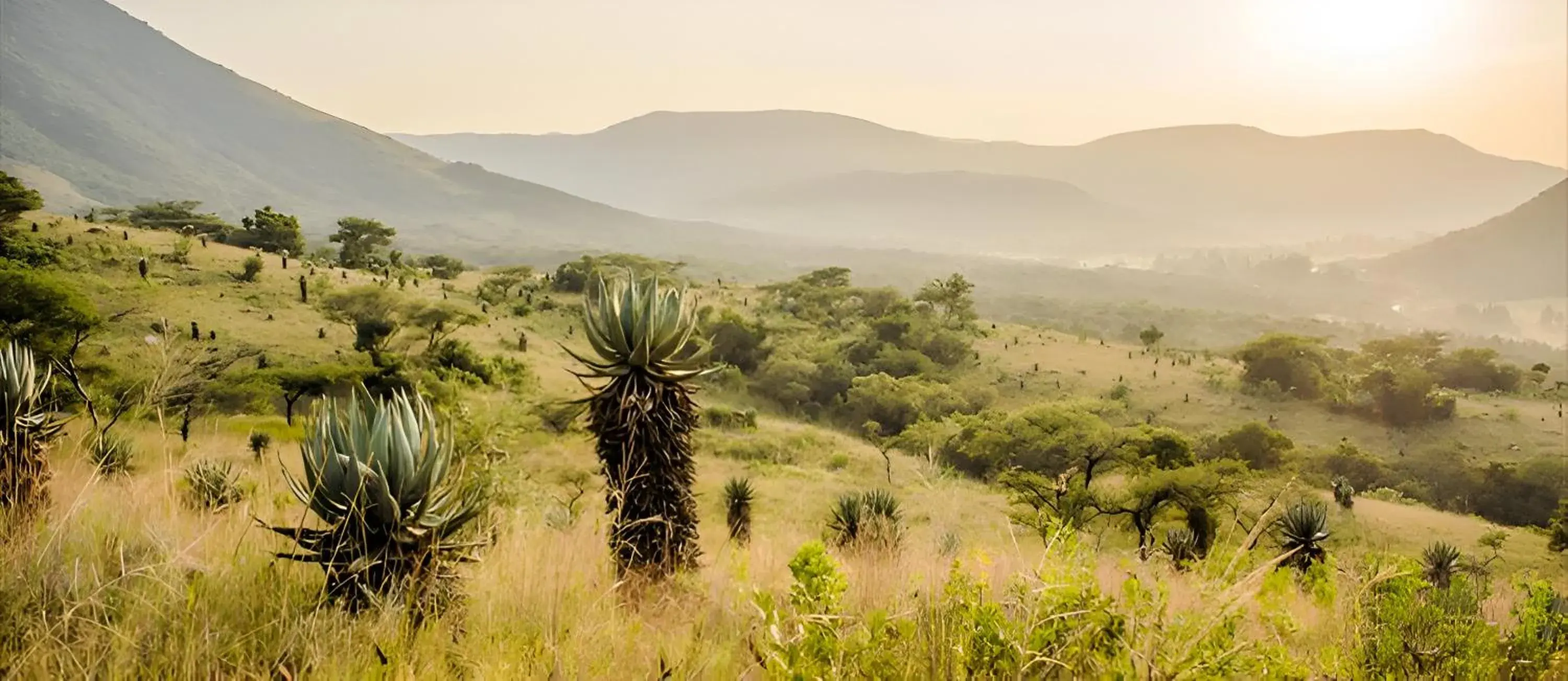 Elangeni Holiday Resort Elangeni Holiday Resort