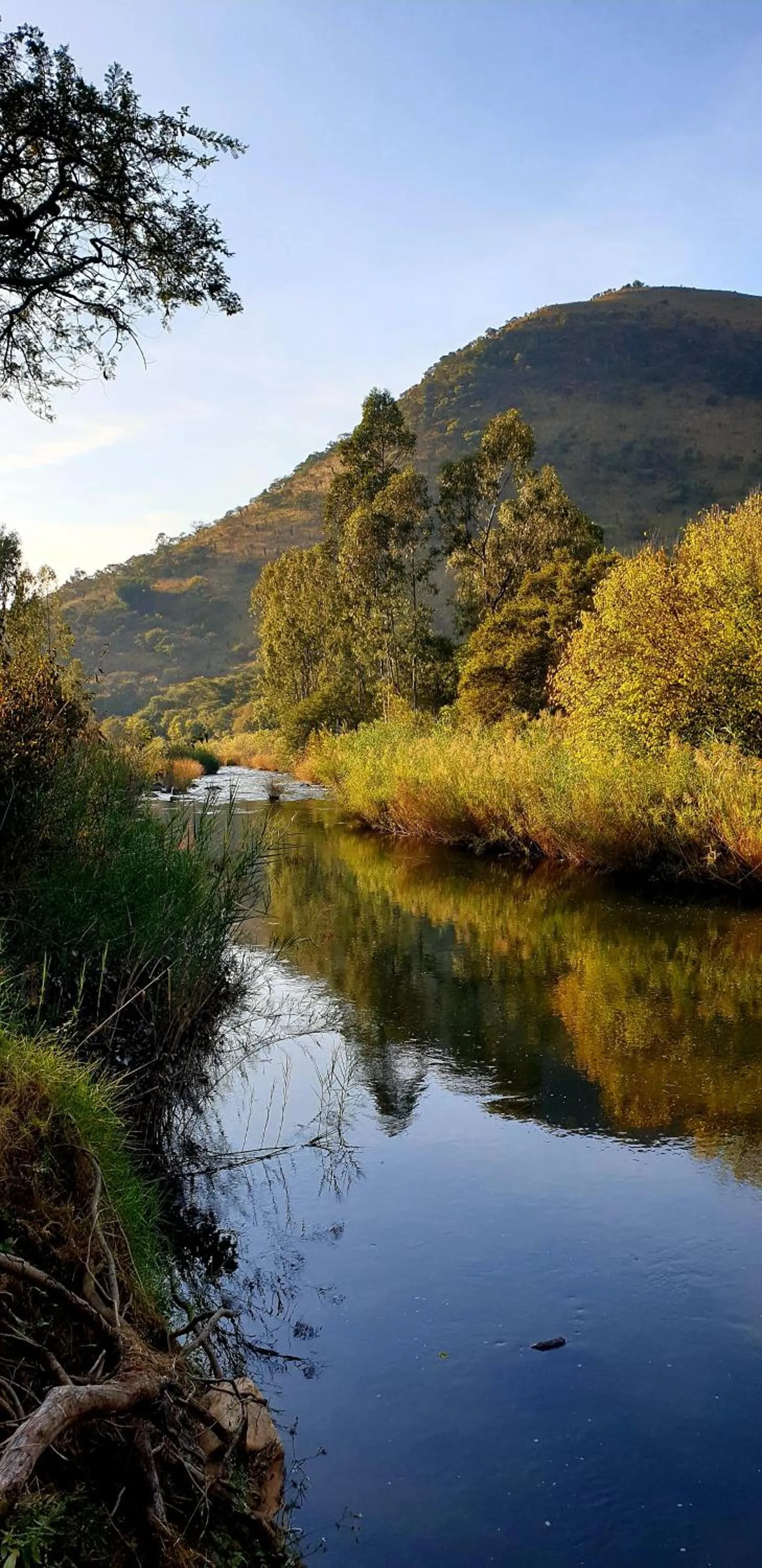 River view in Elangeni Holiday Resort