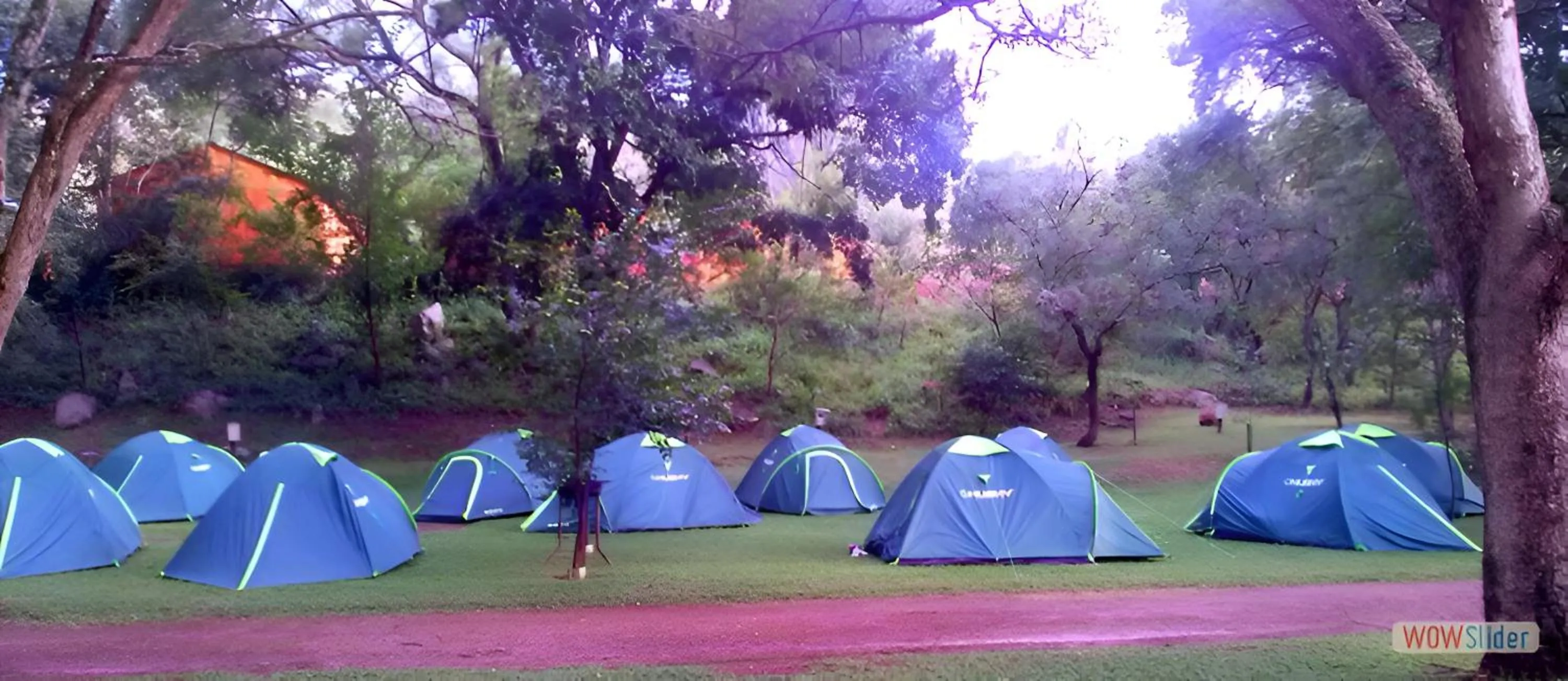 Activities in Elangeni Holiday Resort