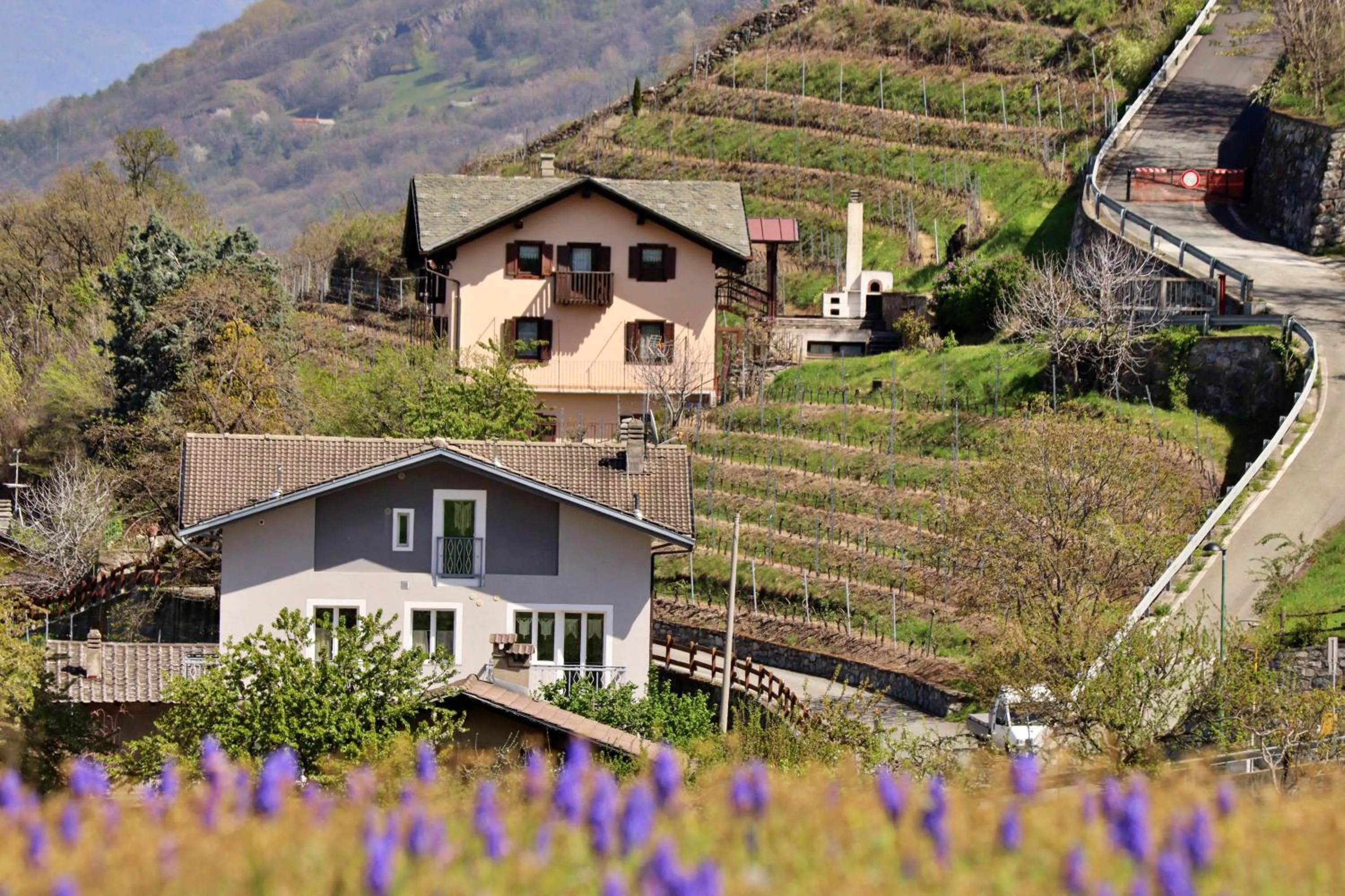 Property building in Lo barbaboc