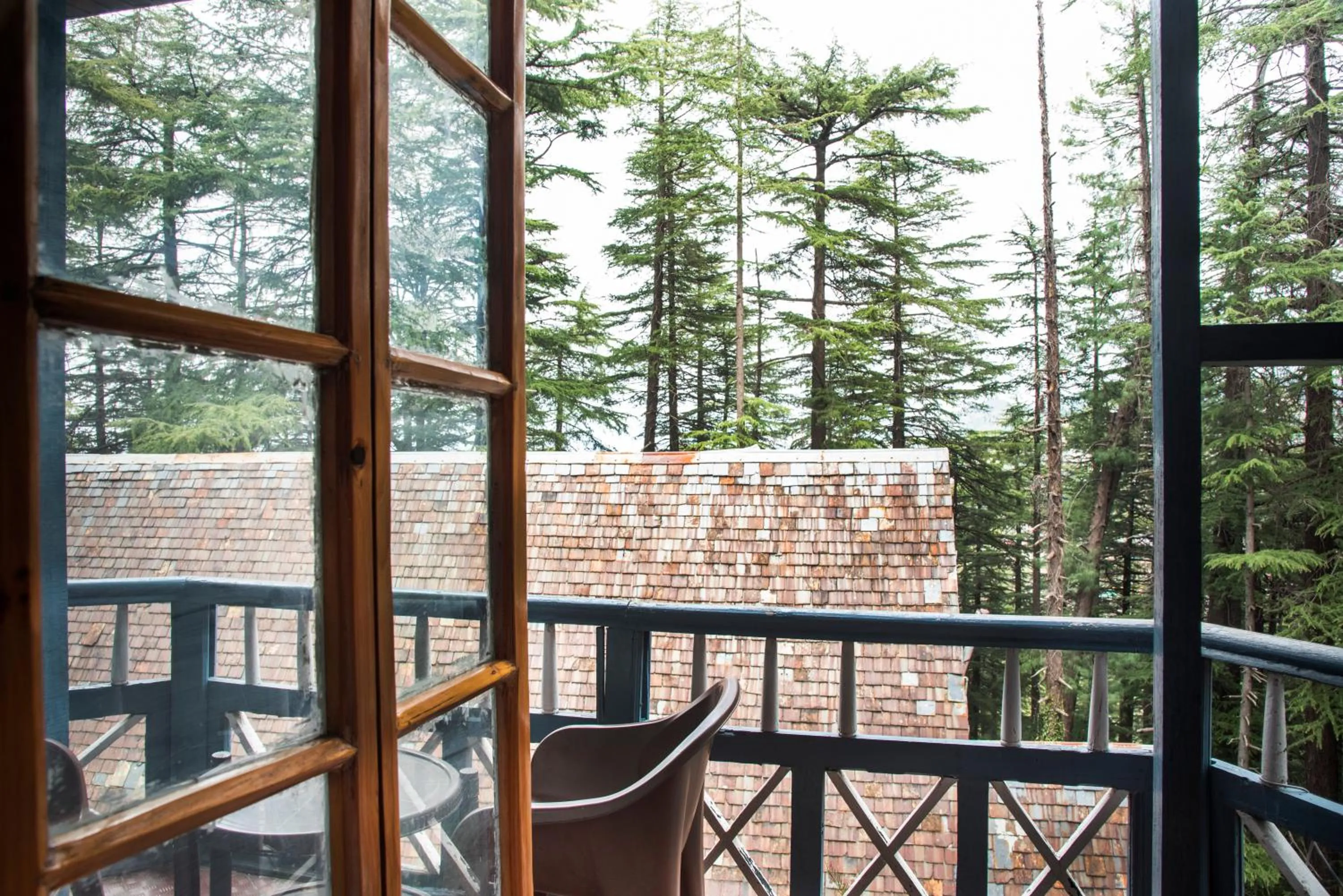 Shimla British Resort