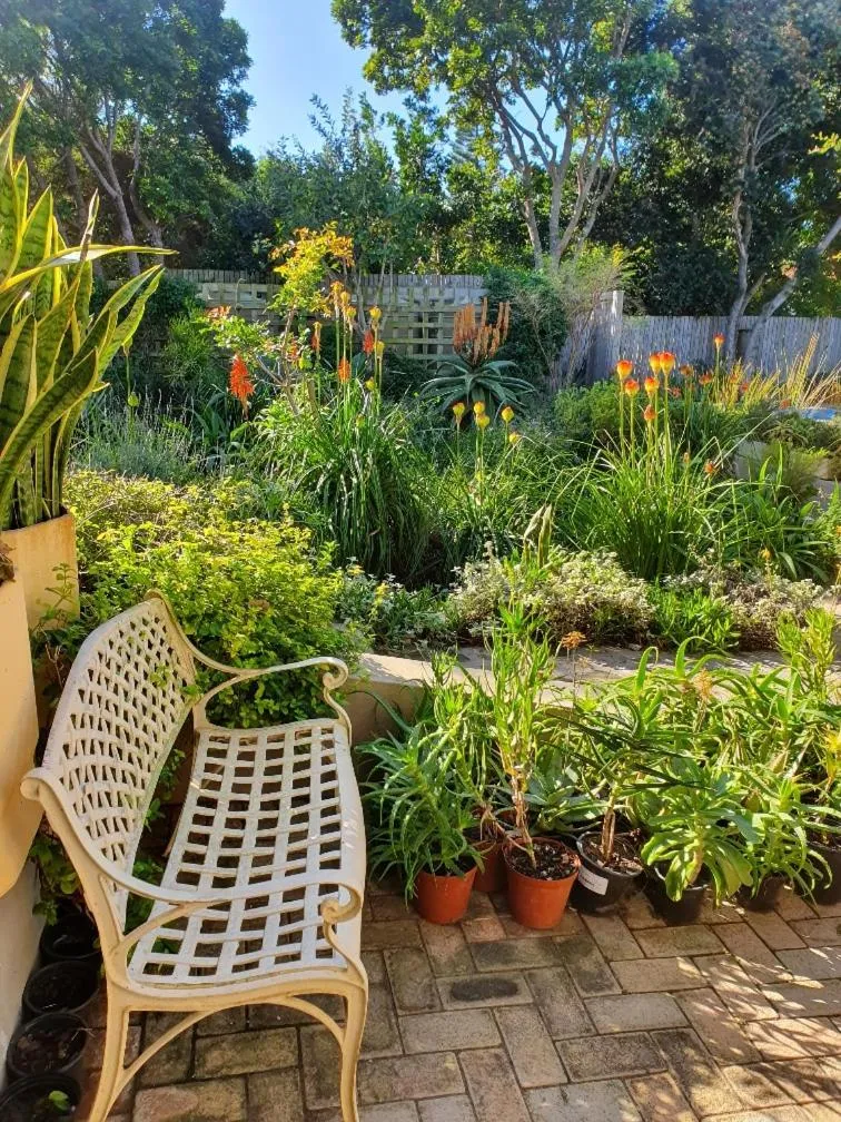 Garden in Hillscapes Guesthouse