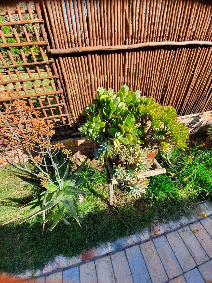Garden in Hillscapes Guesthouse