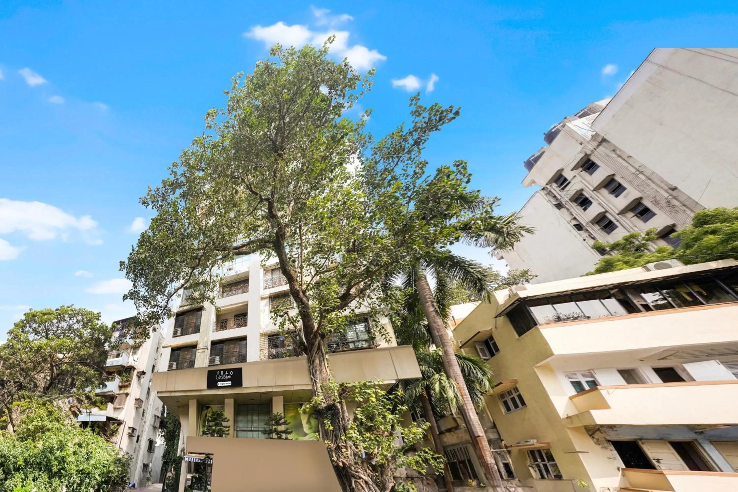 Facade/entrance in Super Collection O Ville Parle formerly Freedom Star