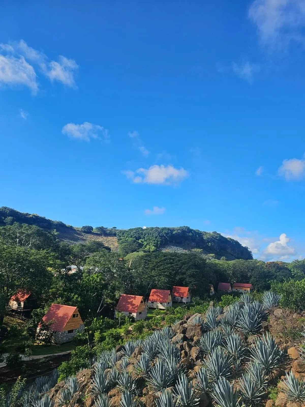 Natural landscape in Hotel cabañas yyukkai