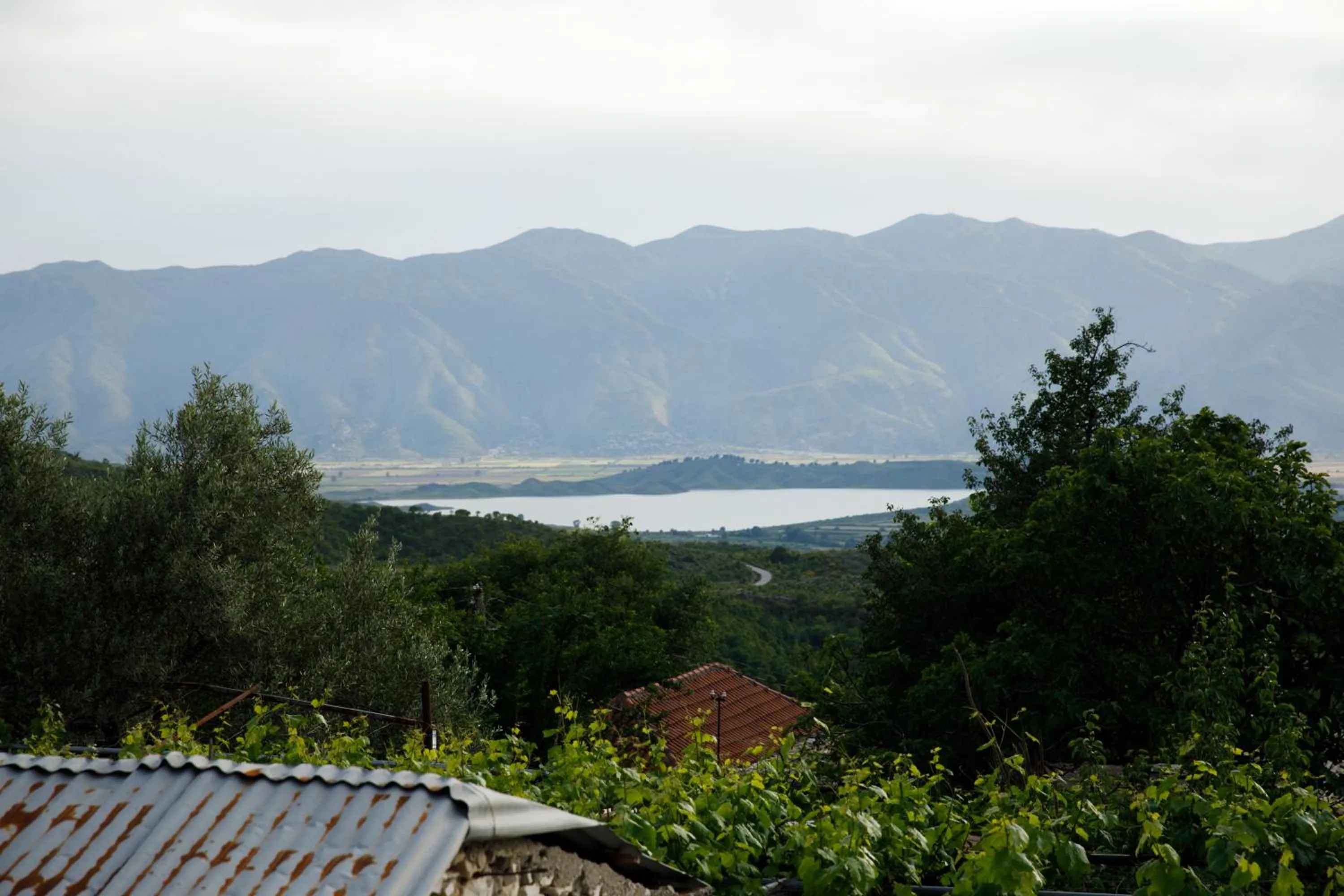 Day in Bujtina Sophie