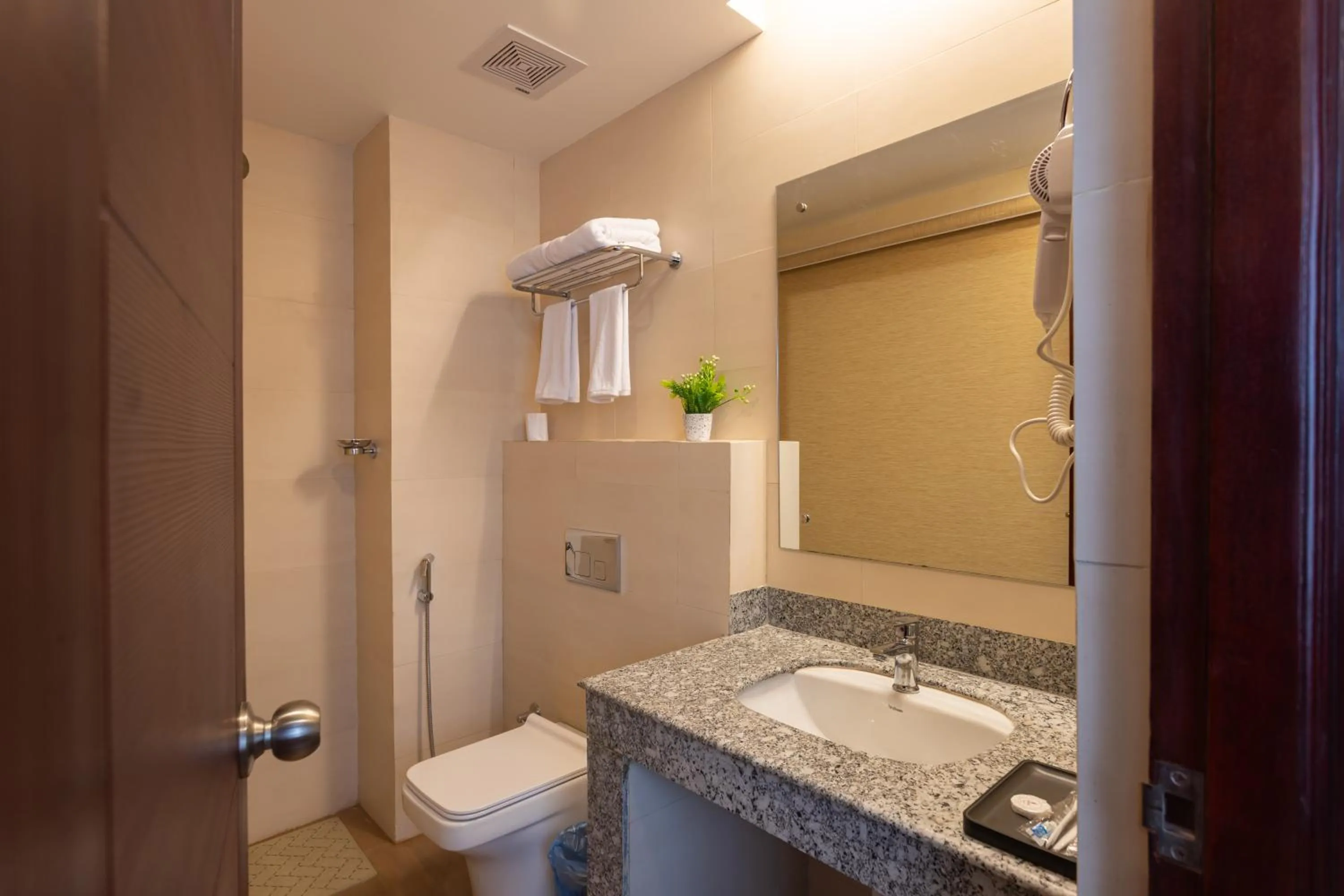 Shower in Hotel Crystal Pashupati