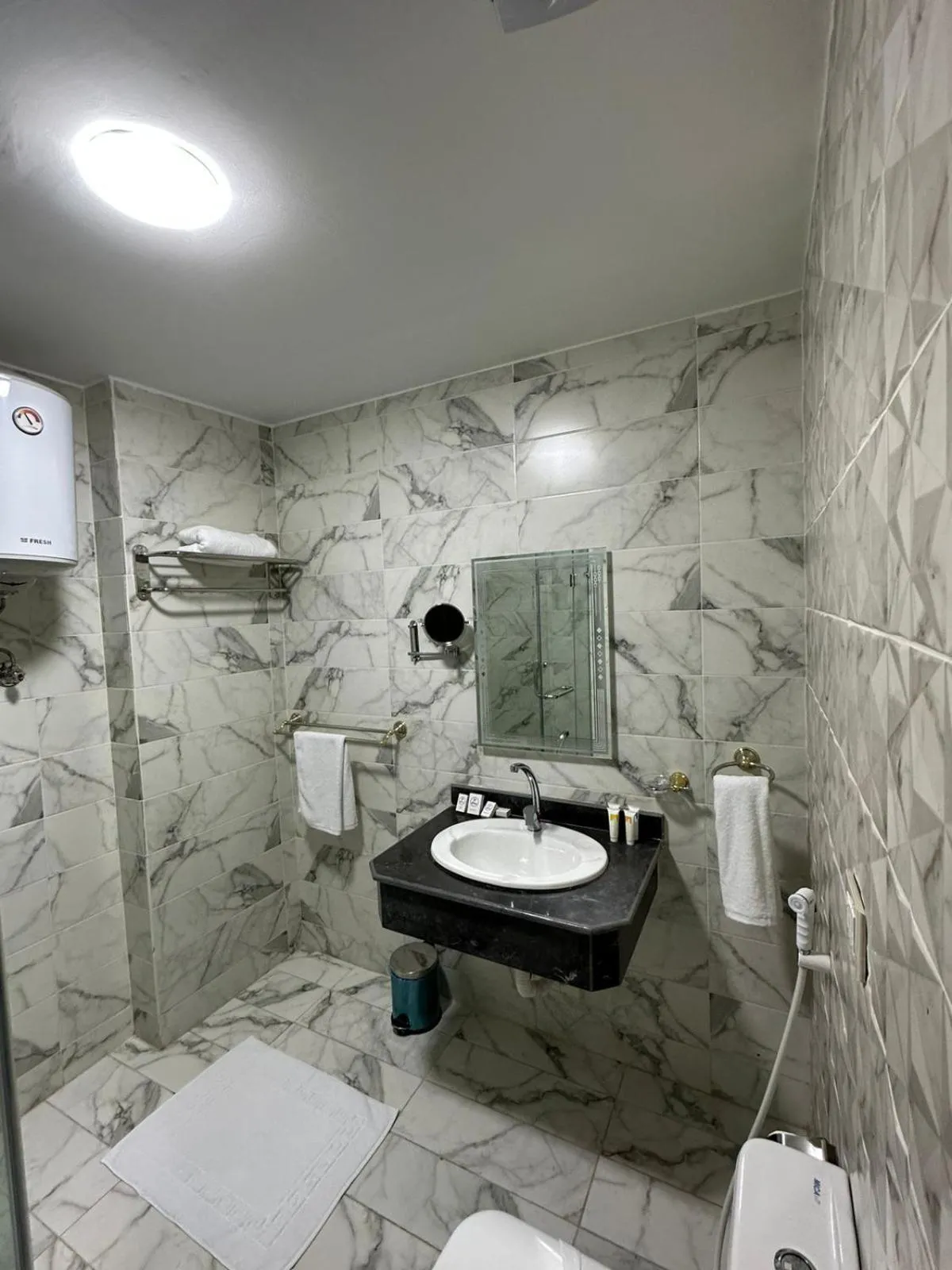 Toilet in Aziz Egypt Pyramids Hotel