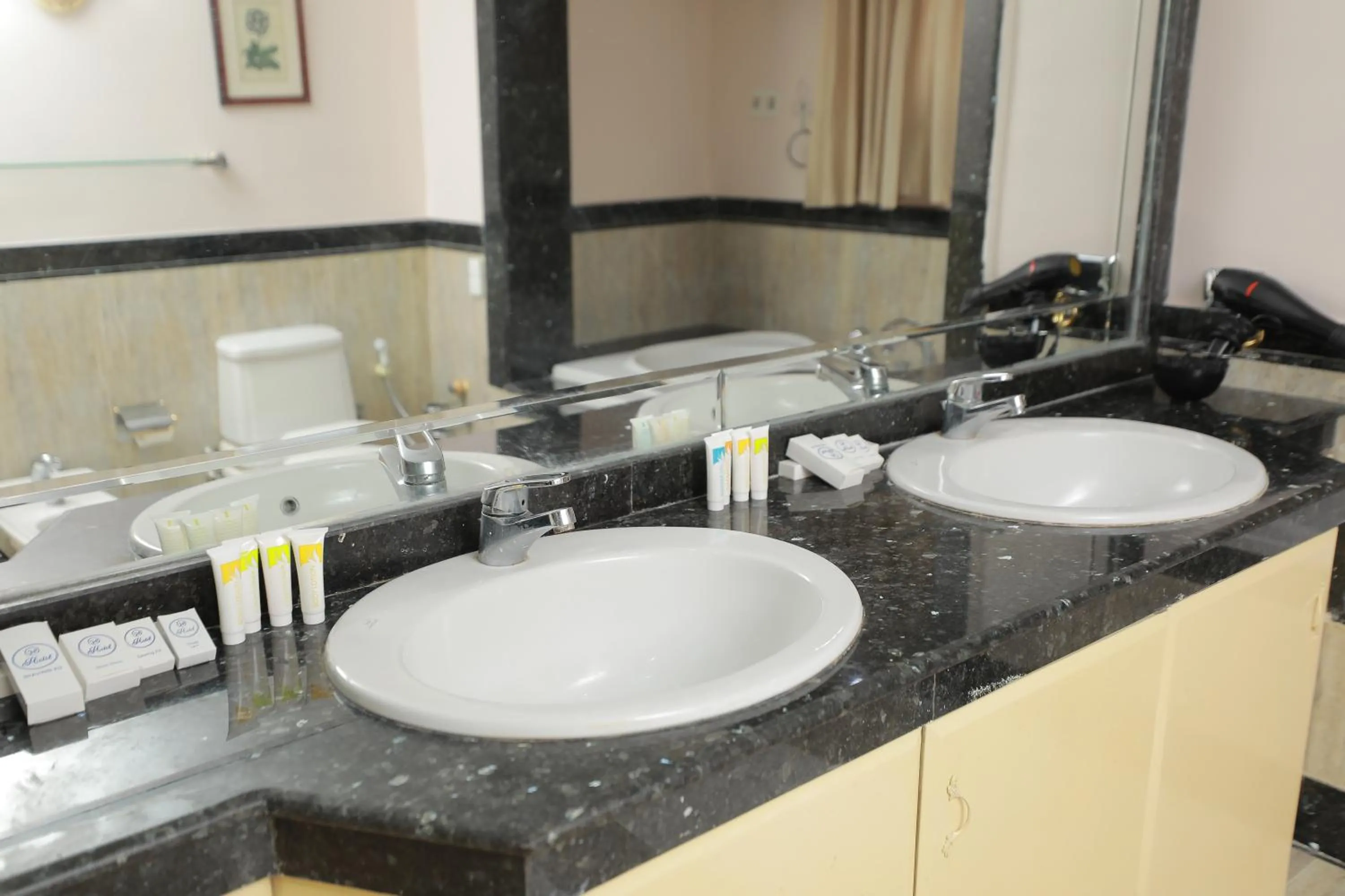 Toilet in Aziz Egypt Pyramids Hotel