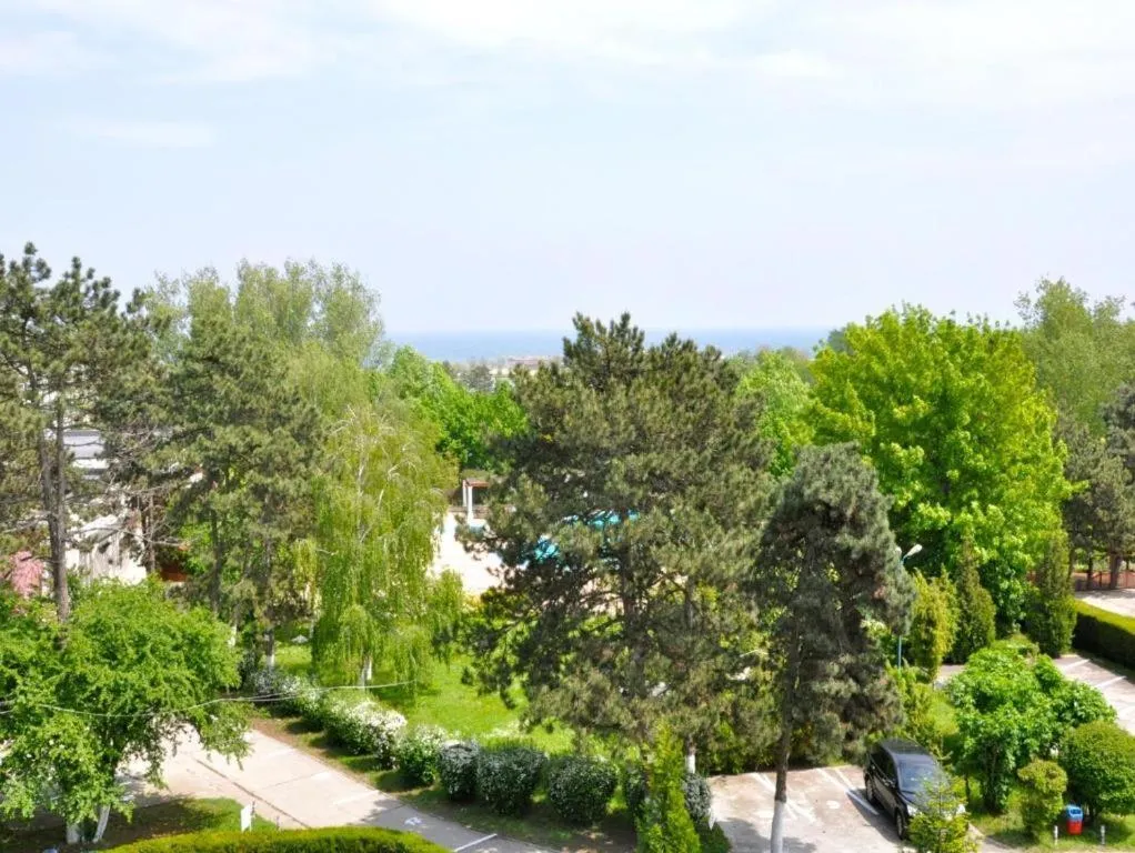 Day in Hotel Decebal Estival Neptun