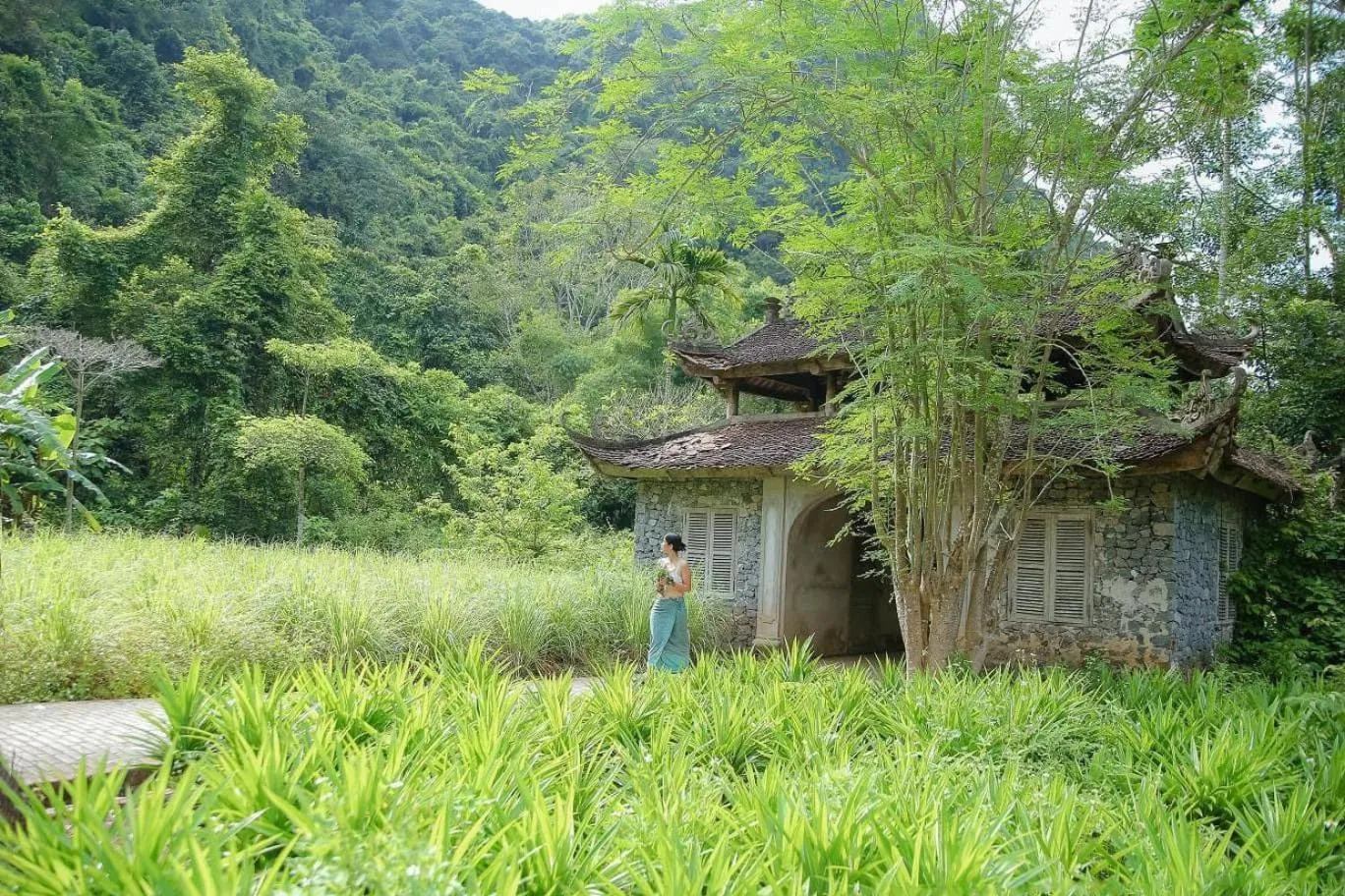 Natural landscape in Maison Cat Ba Bay View Villa