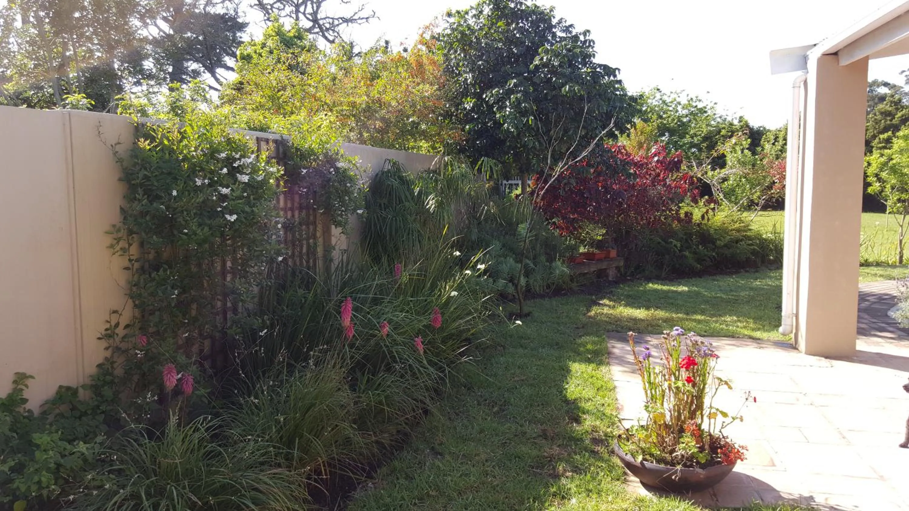 Garden view in Little Louisa