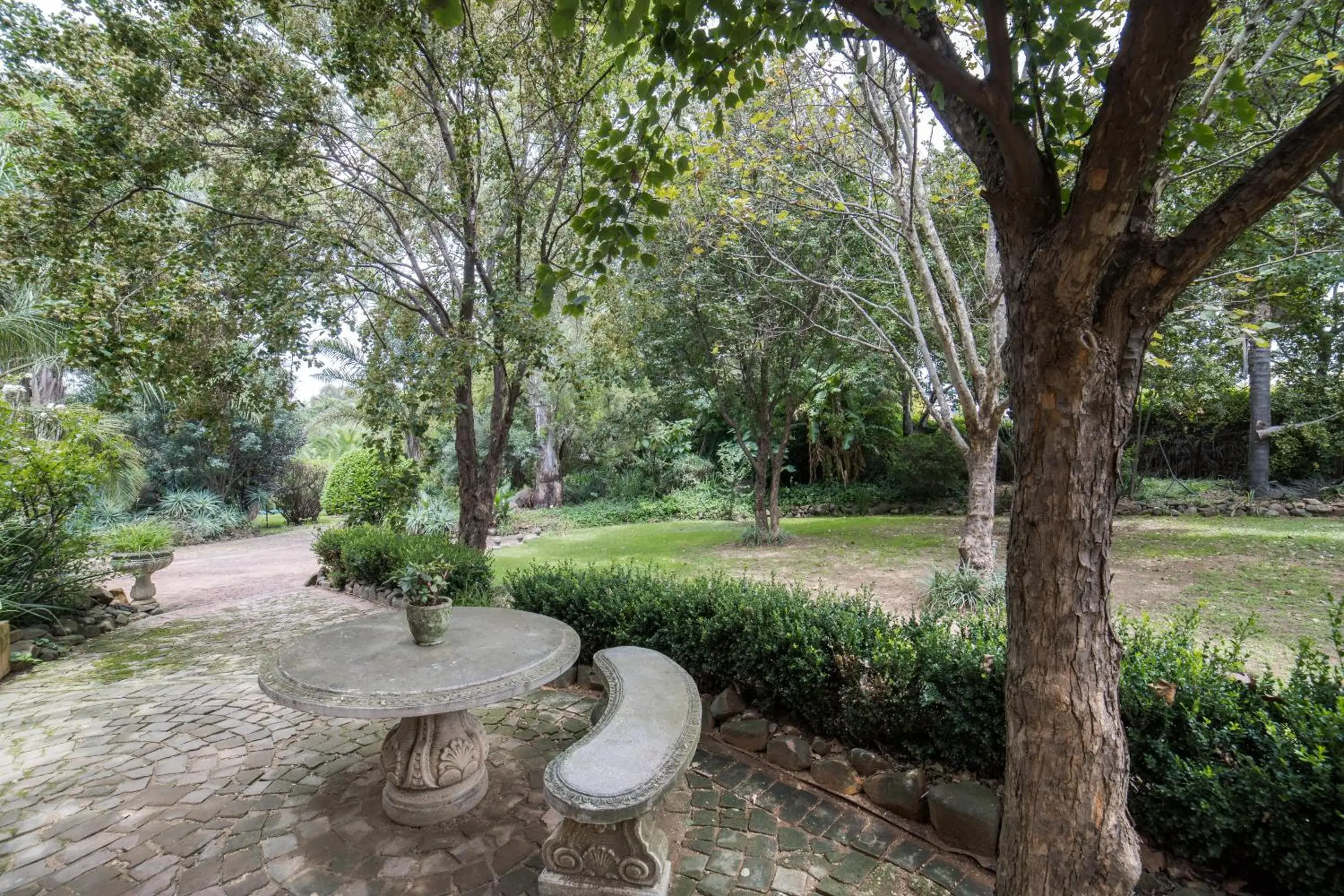 Deluxe Suite - single occupancy in Tuareg Guest House Deluxe Suite - single occupancy in Tuareg Guest House