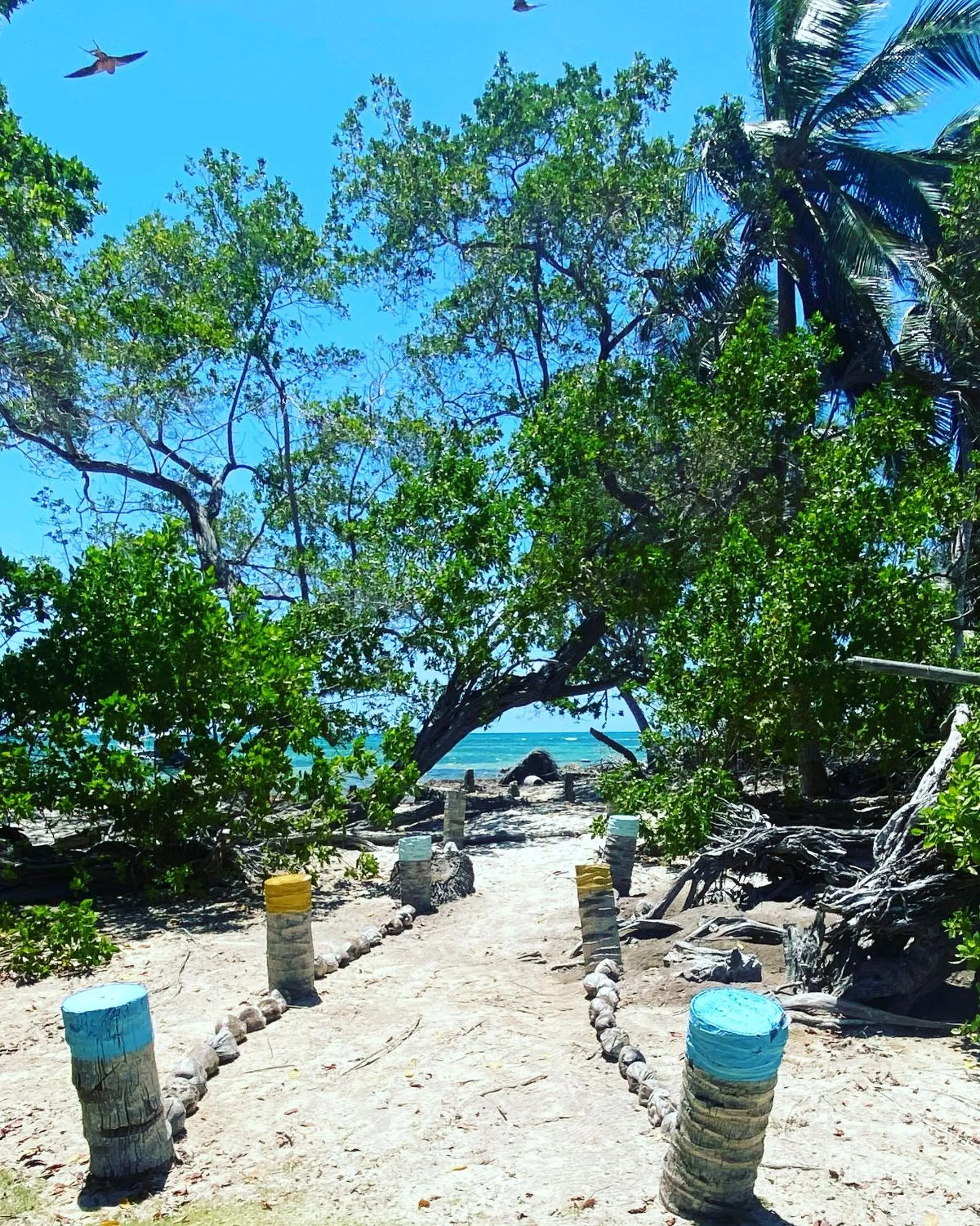 Islander House on Rocky Cay Beach
