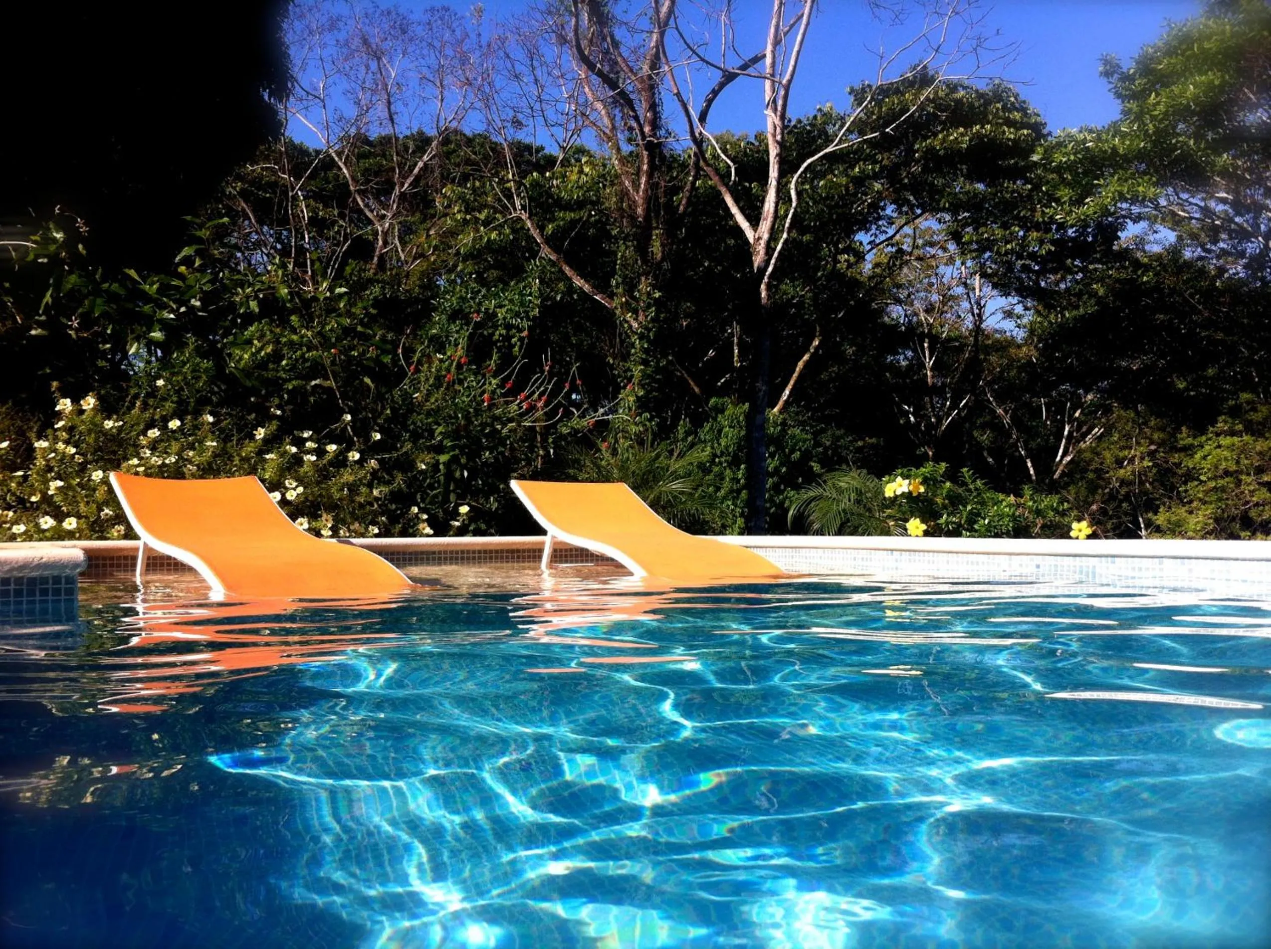 Tree of Life Cabinas