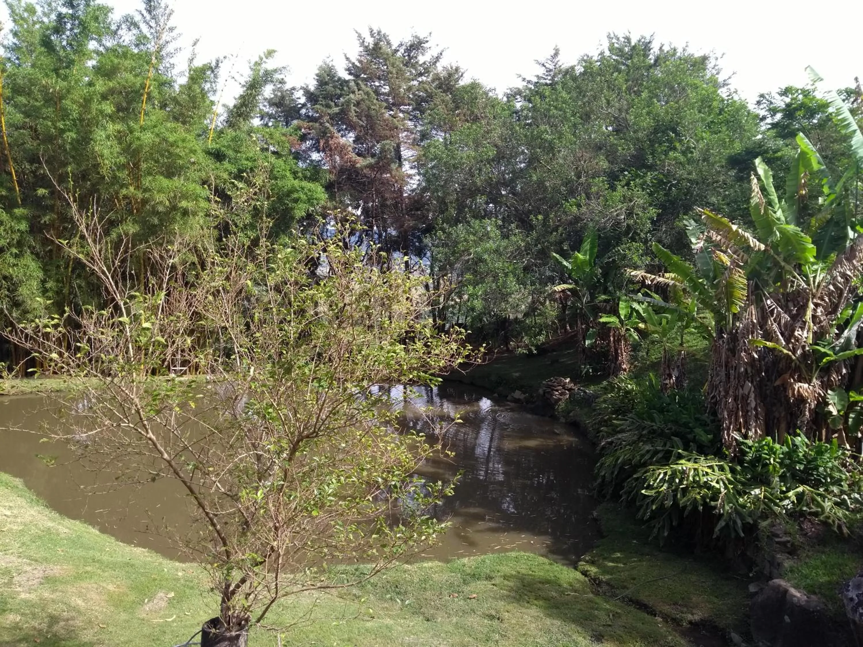 Fishing in Pousada Céu de Luz - Próximo a Monte Verde