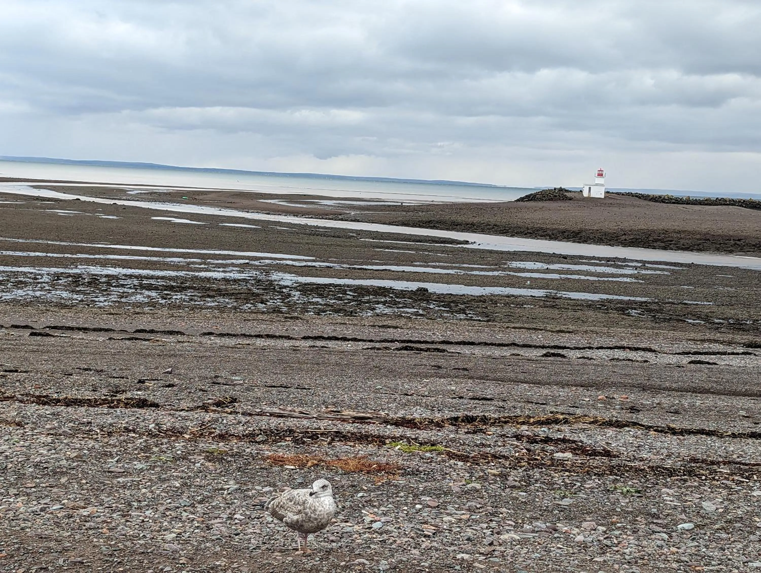 Natural landscape in The Parrsboro Mansion Inn