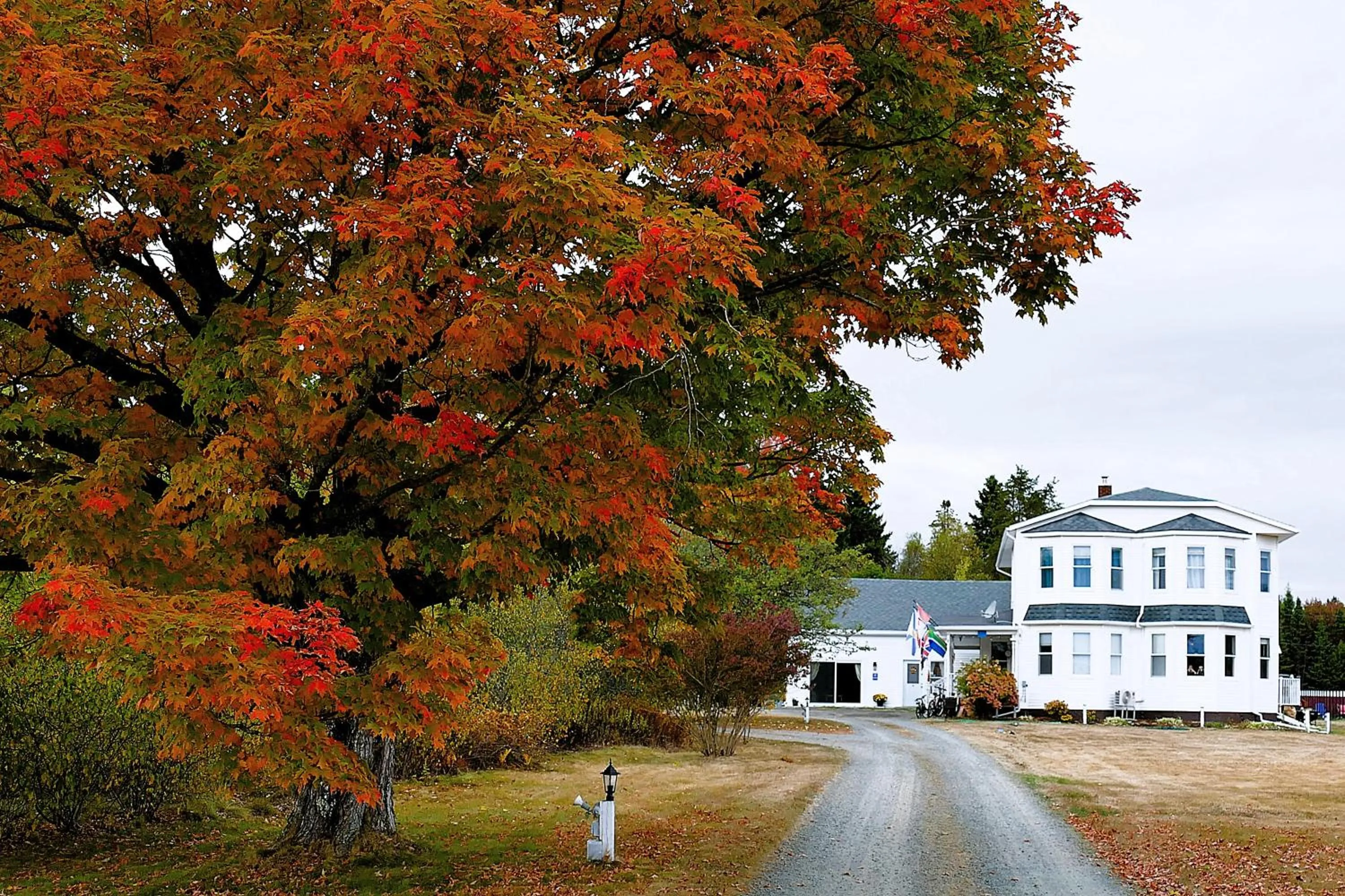 Property building in The Parrsboro Mansion Inn