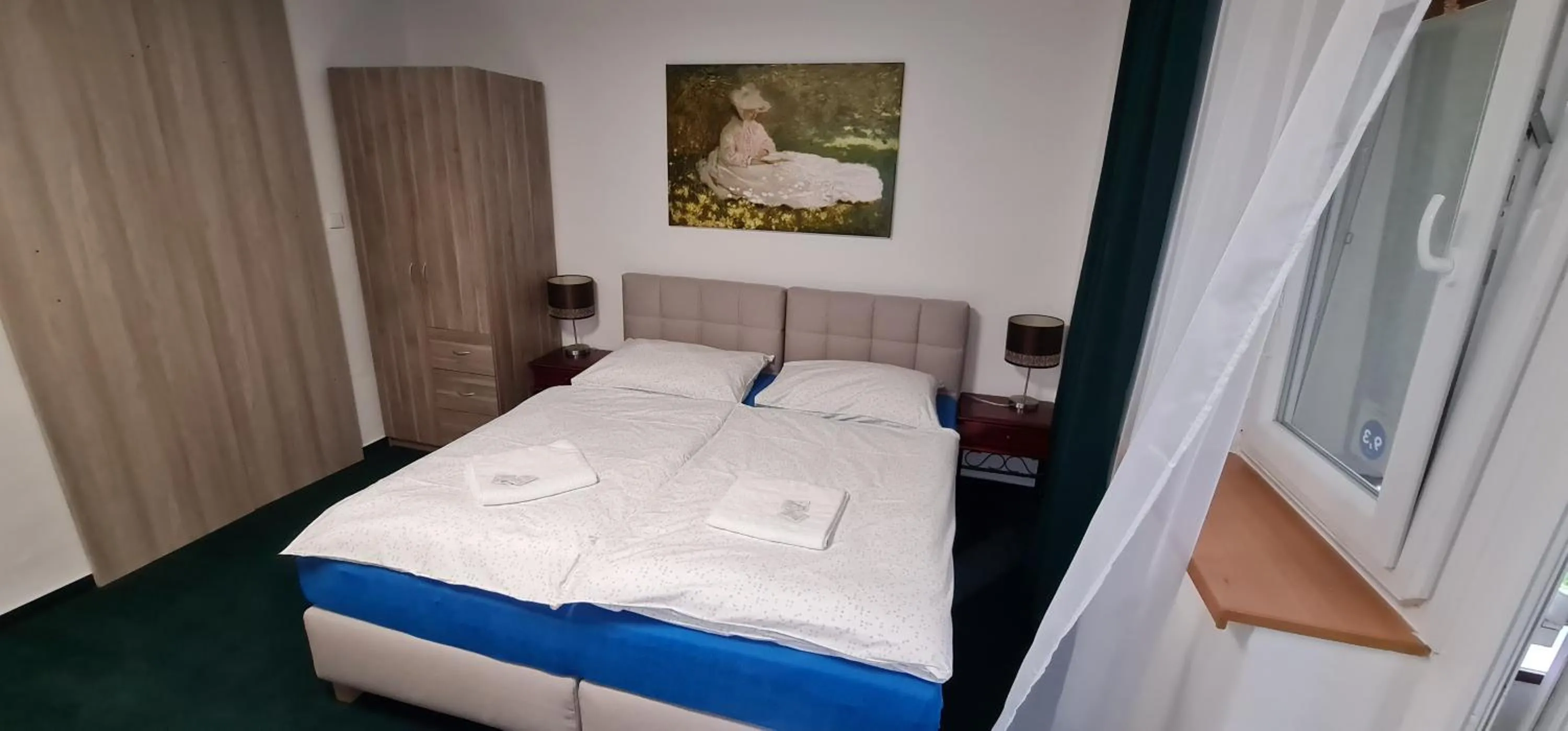 Double Room - single occupancy in Apartmány Orlová