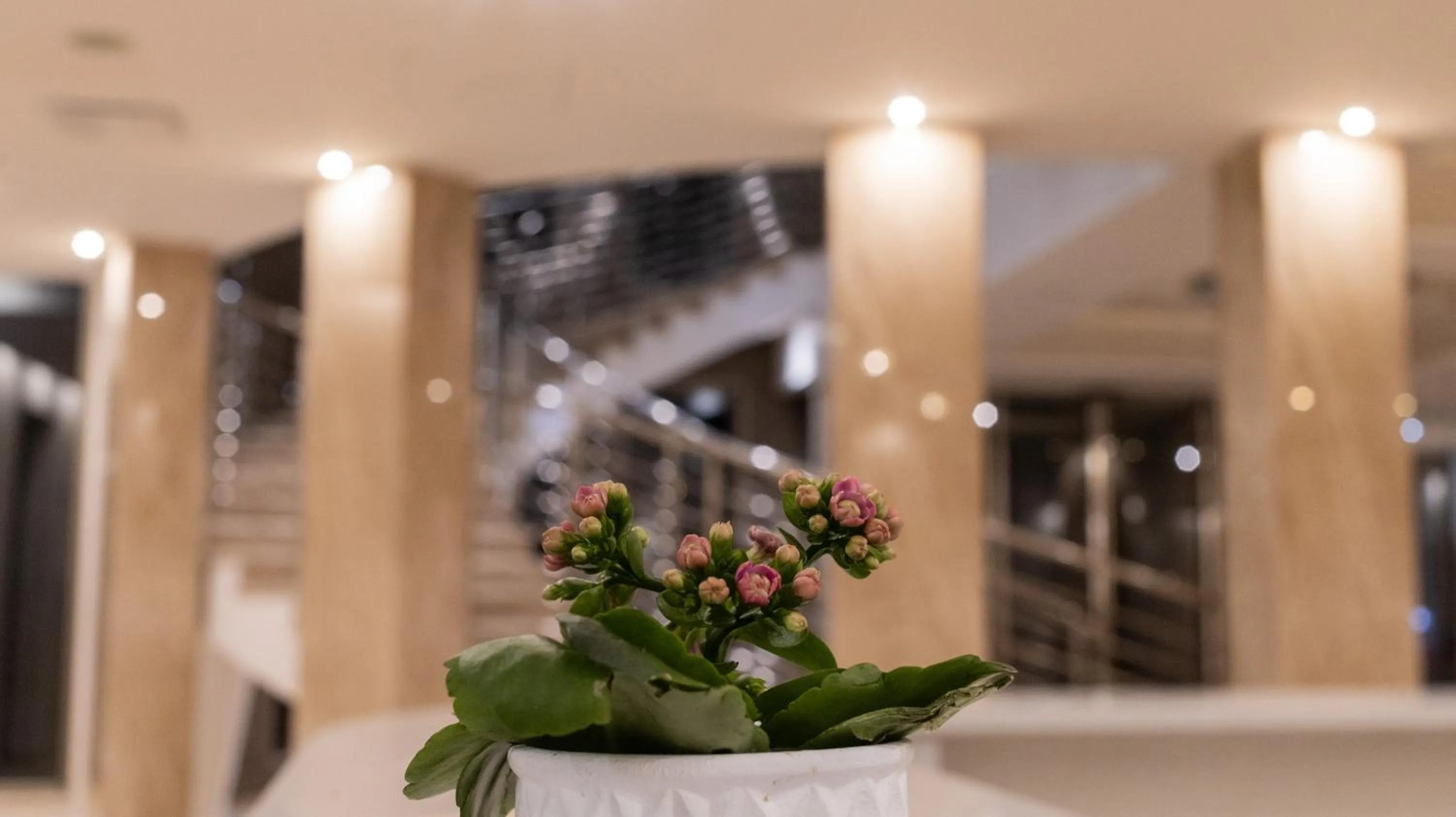 Lobby or reception in Hotel Donna Crescenza