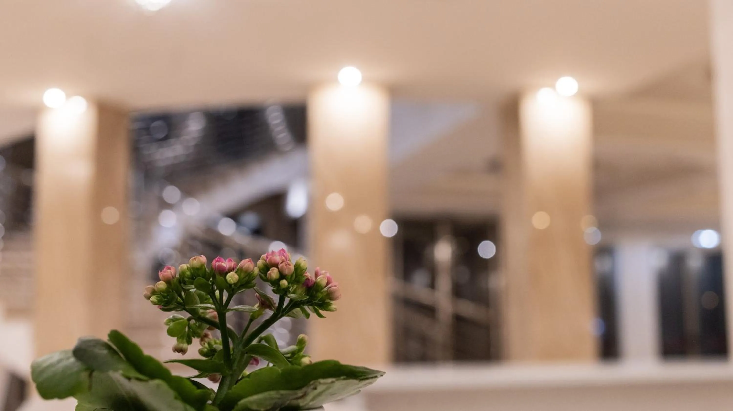 Area and facilities in Hotel Donna Crescenza