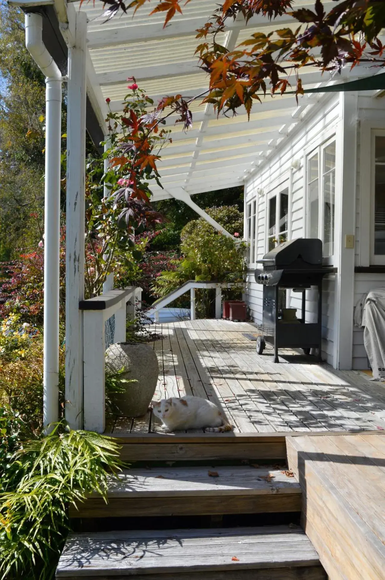 Property building in Magpie Cottage Homestay Bed & Breakfast Property building in Magpie Cottage Homestay Bed & Breakfast