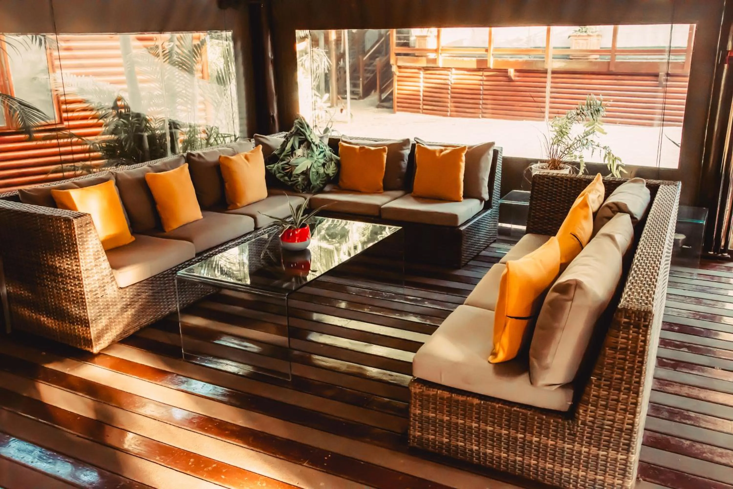 The Tree Top Village Urban Glamping