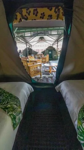 The Tree Top Village Urban Glamping