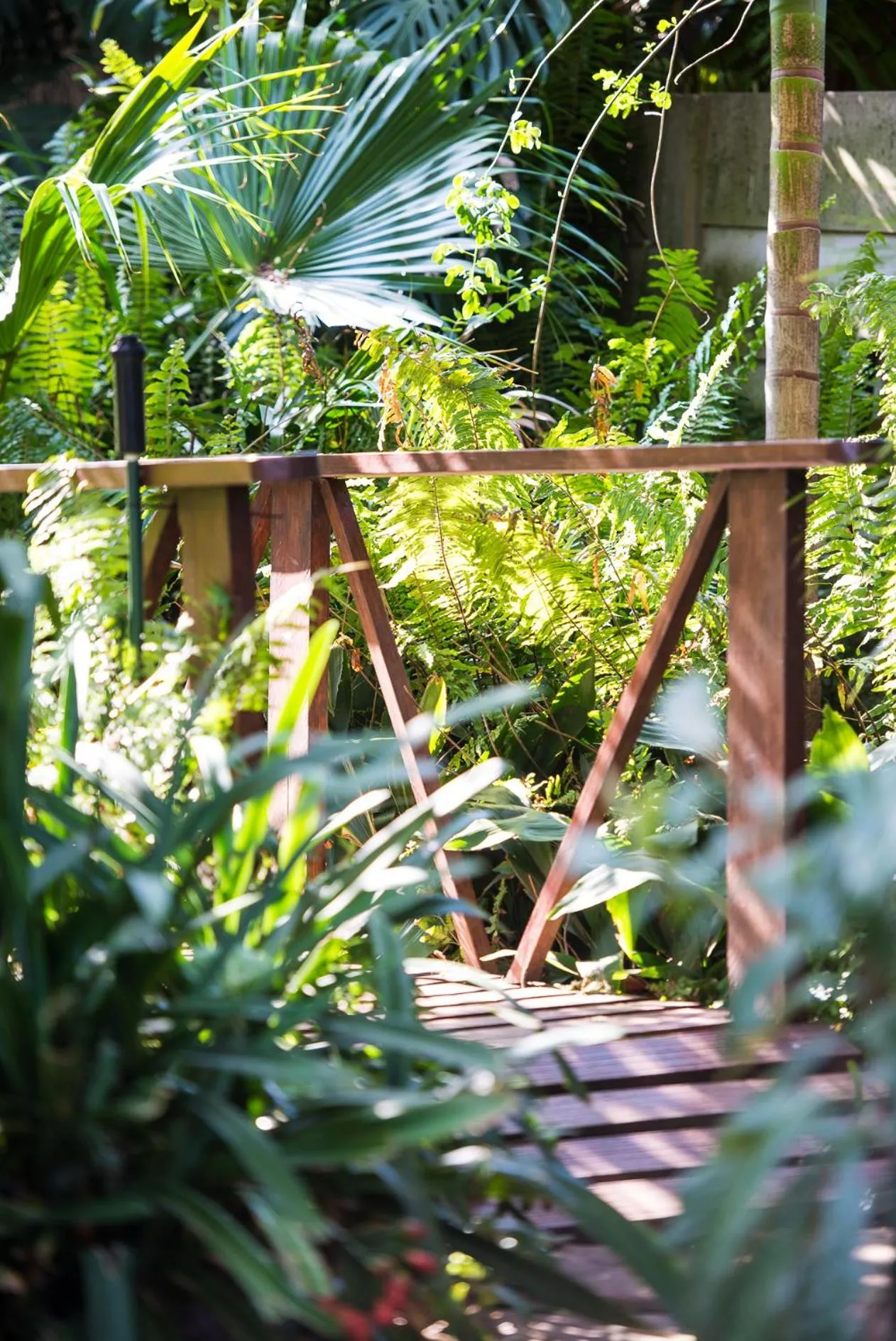 Garden in TeBeacon Accommodation