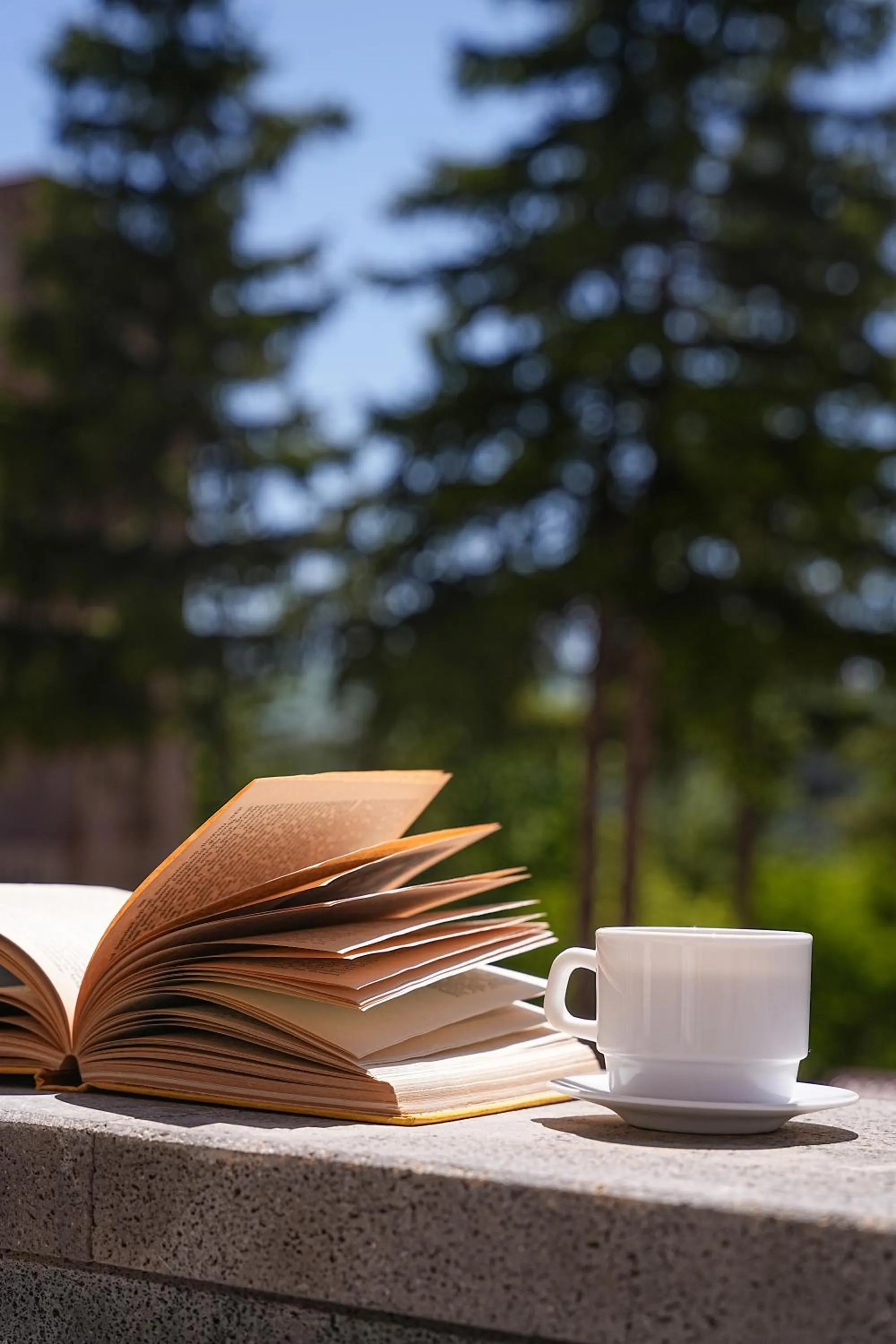 Jermuk Moscow Health Resort