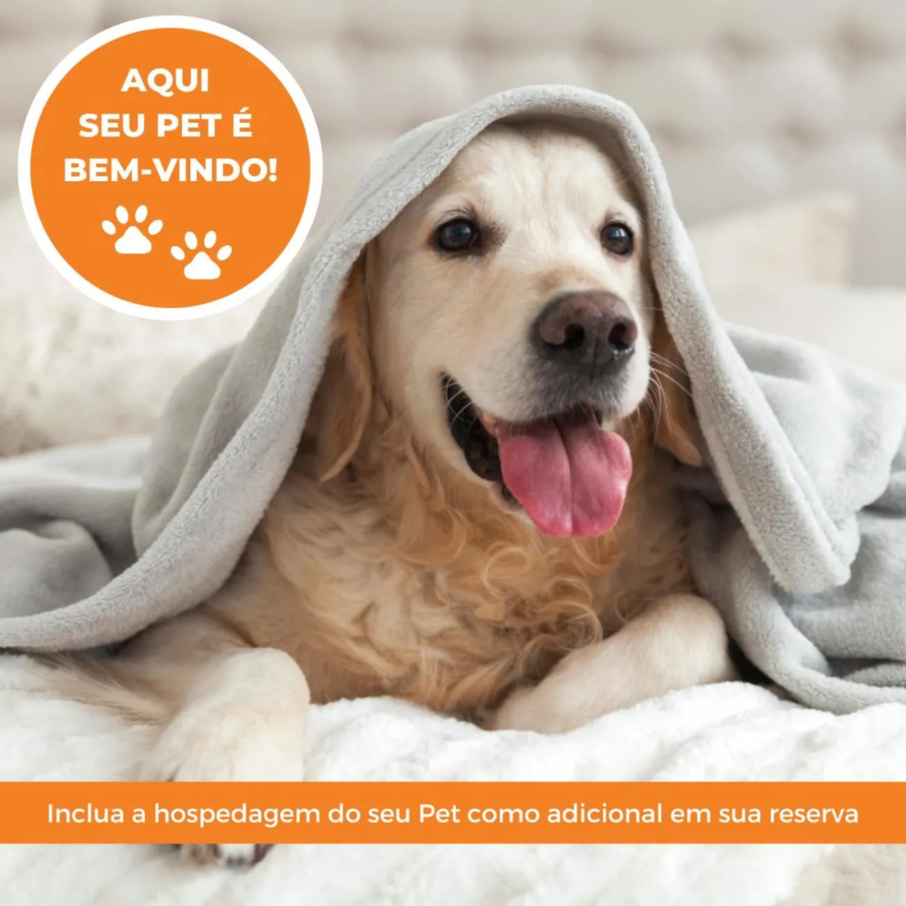 Animals in Harbor Querência Hotel