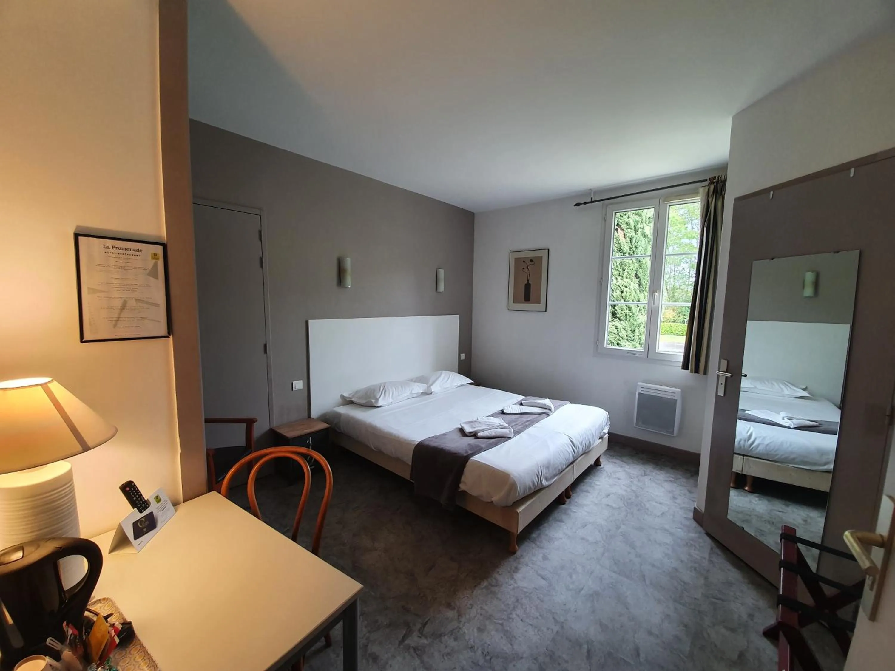 Standard Double Room in Hôtel Restaurant La Promenade