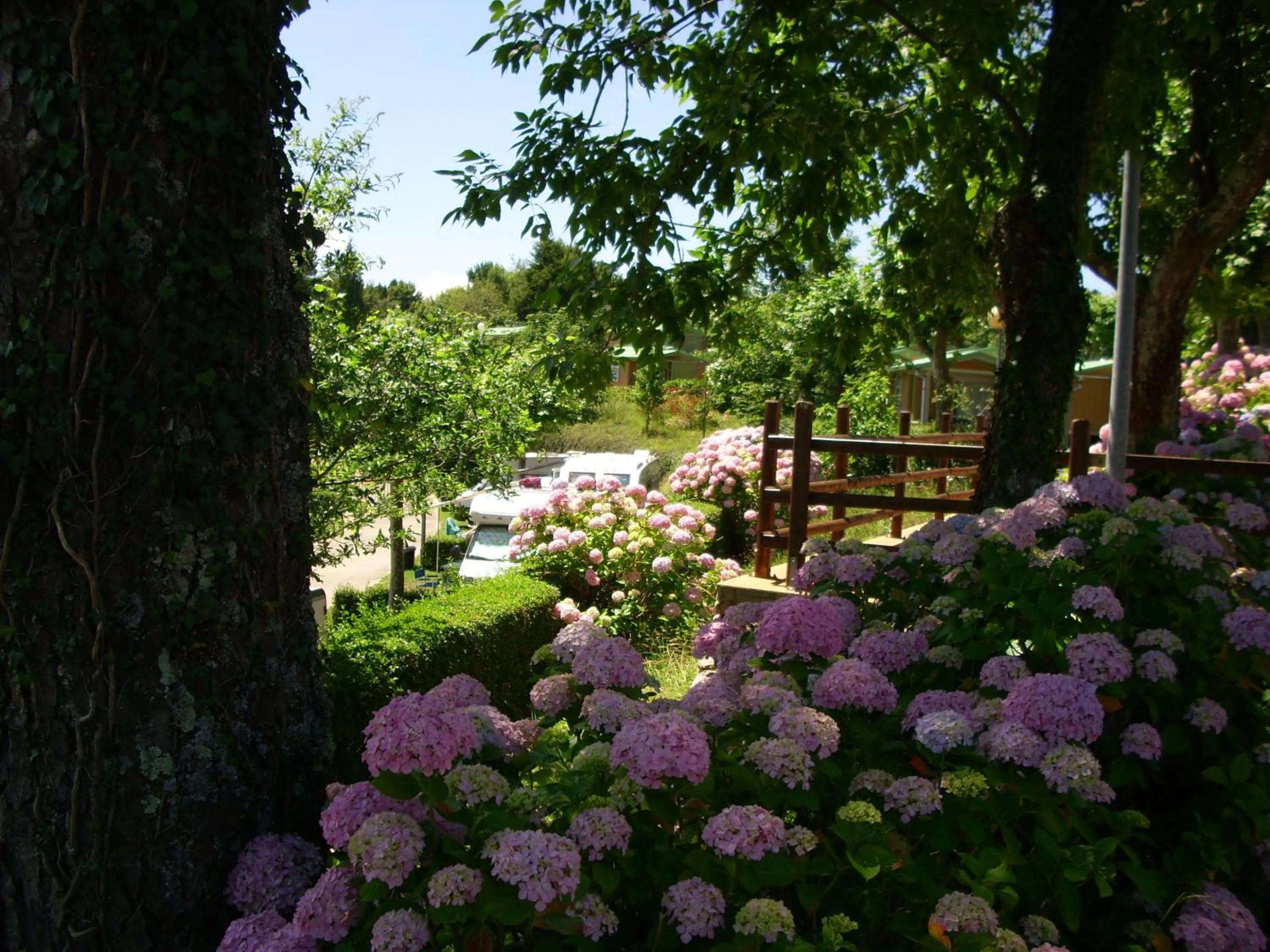 Garden in Wecamp San Sebastián