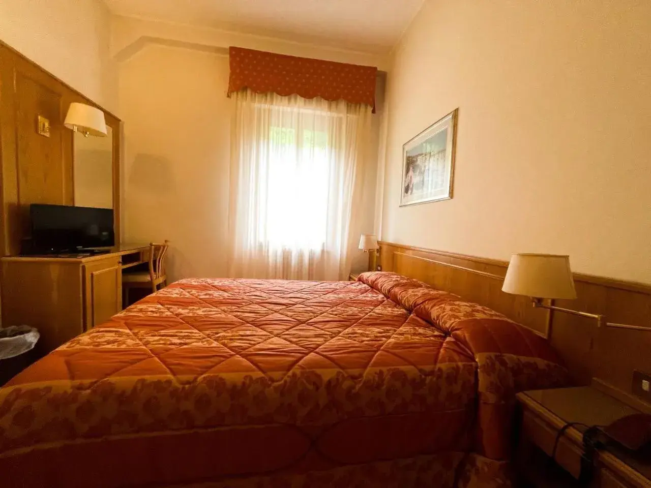 Double Room with Lake View - single occupancy in Hotel Garni del Lago Double Room with Lake View - single occupancy in Hotel Garni del Lago