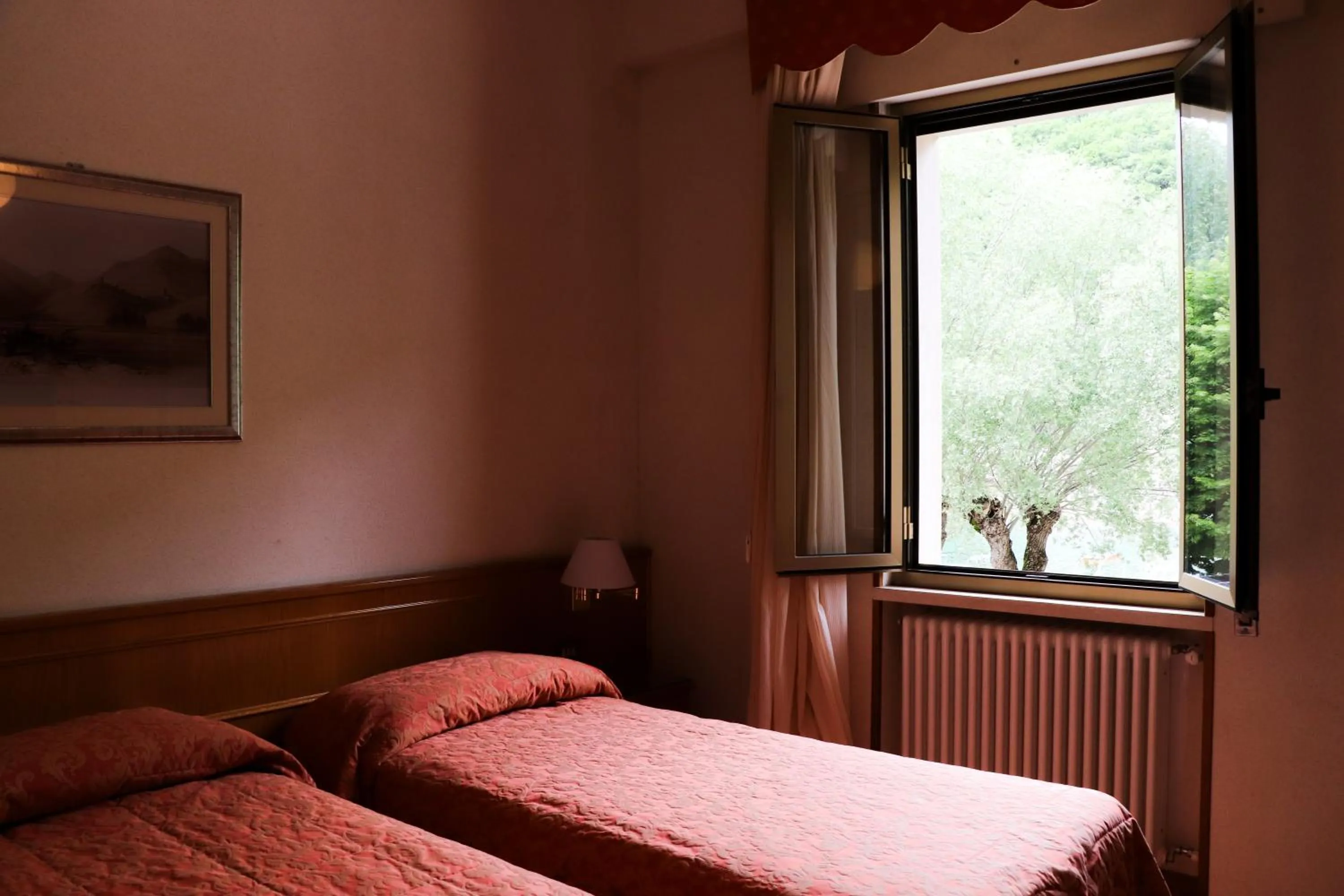 Bed in Hotel Garni del Lago